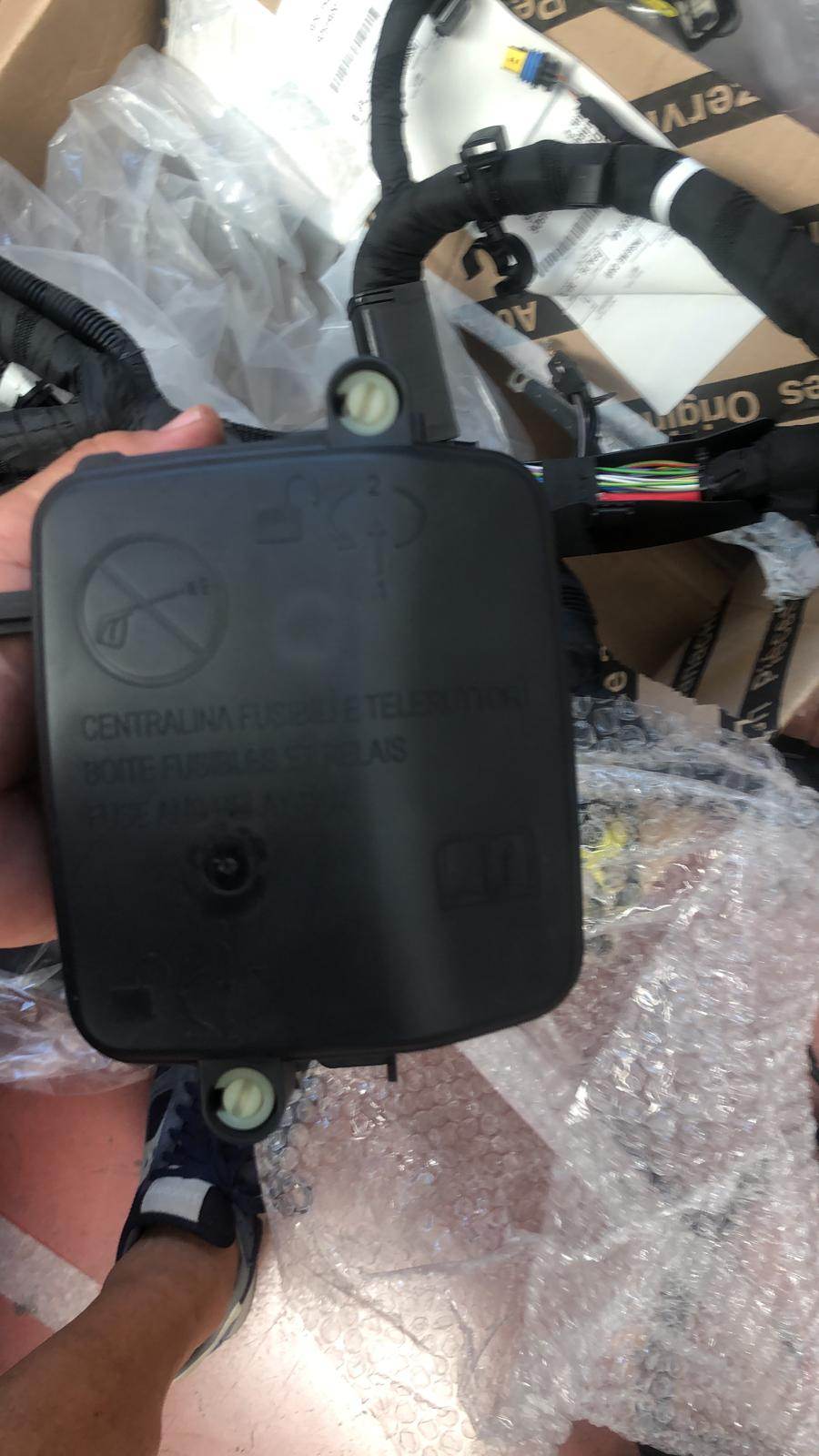 foto4_cablaggioGiulia210cv.jpg foto4_cablaggioGiulia210cv.jpg