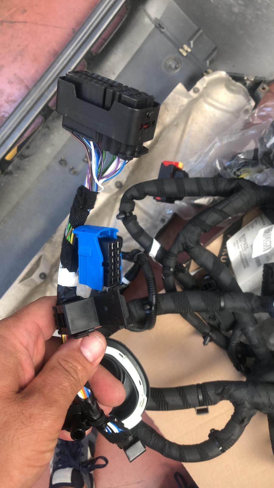 foto6_cablaggioGiulia210cv.jpg foto6_cablaggioGiulia210cv.jpg