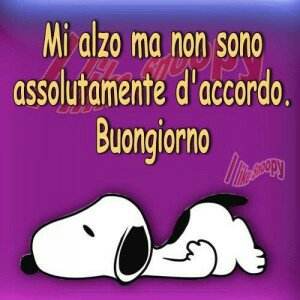 frasi-buongiorno-11-300x300.jpg