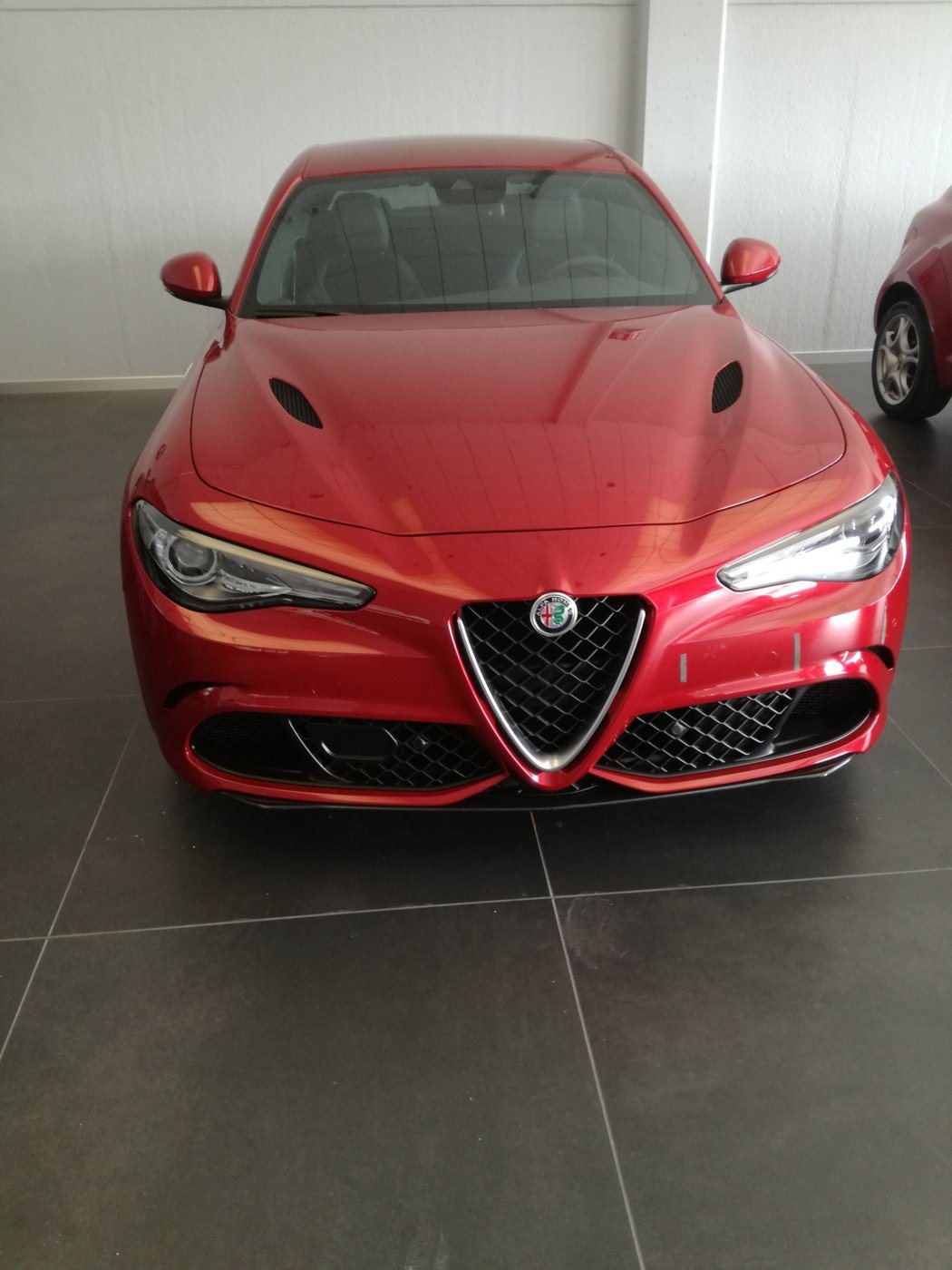 giulia 1.jpg