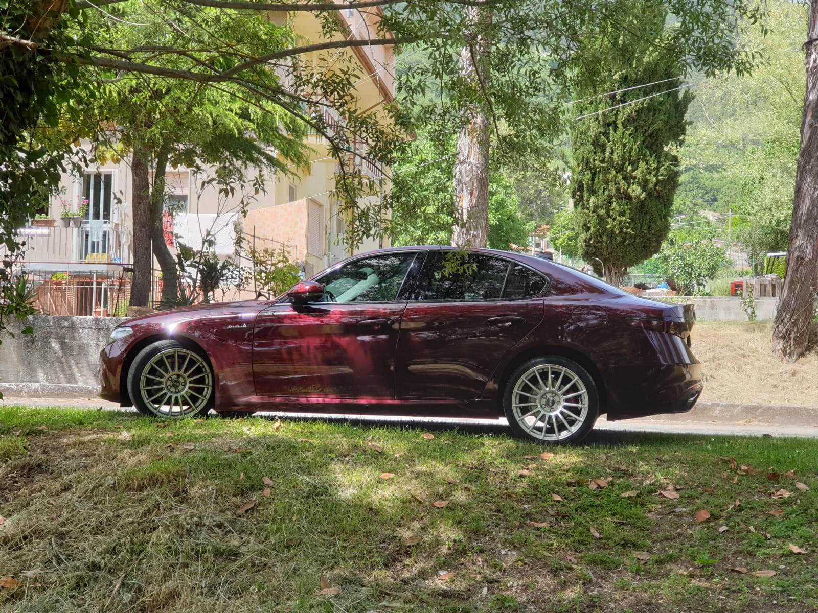 giulia 1.jpg