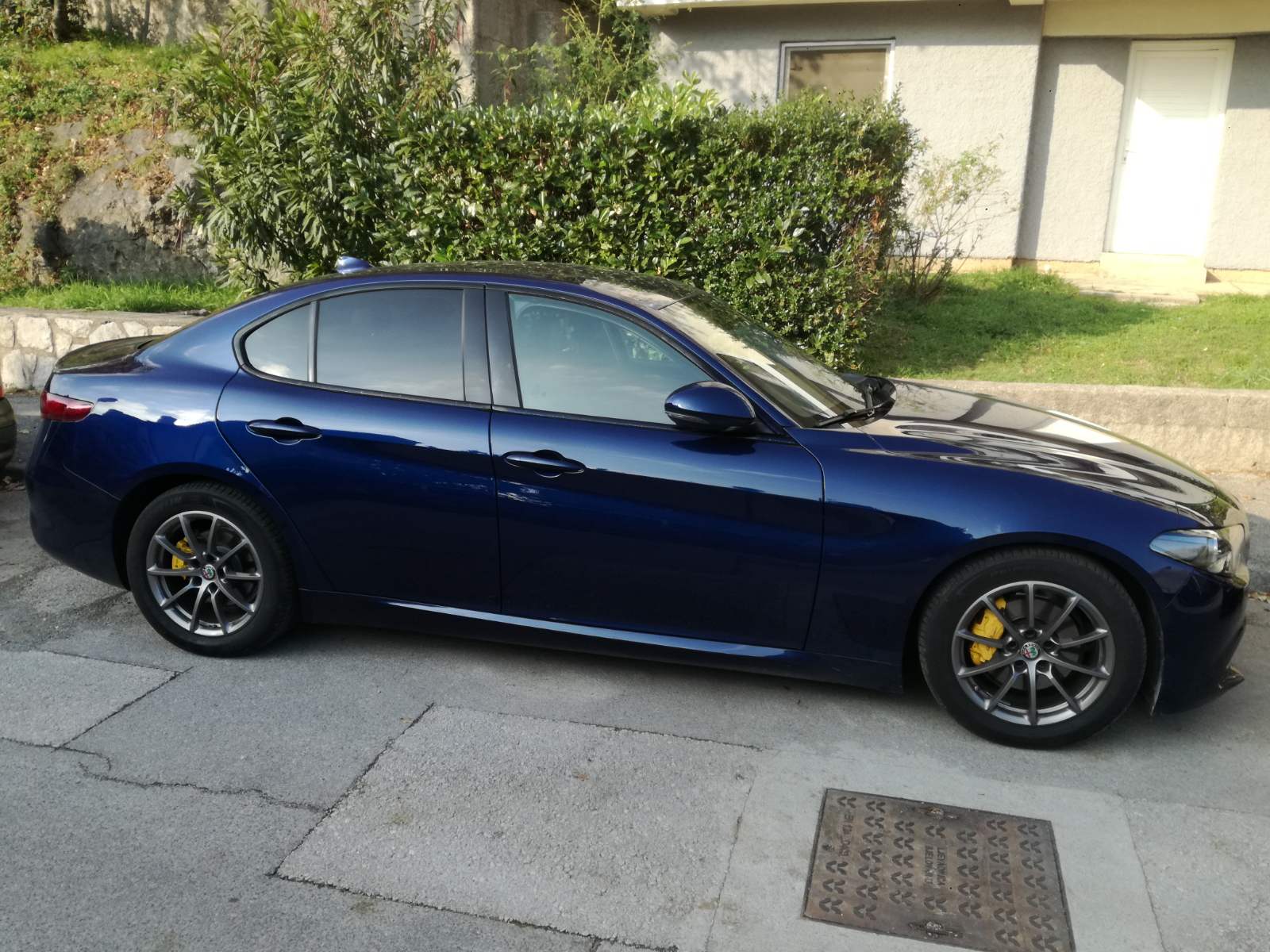 giulia side.jpg