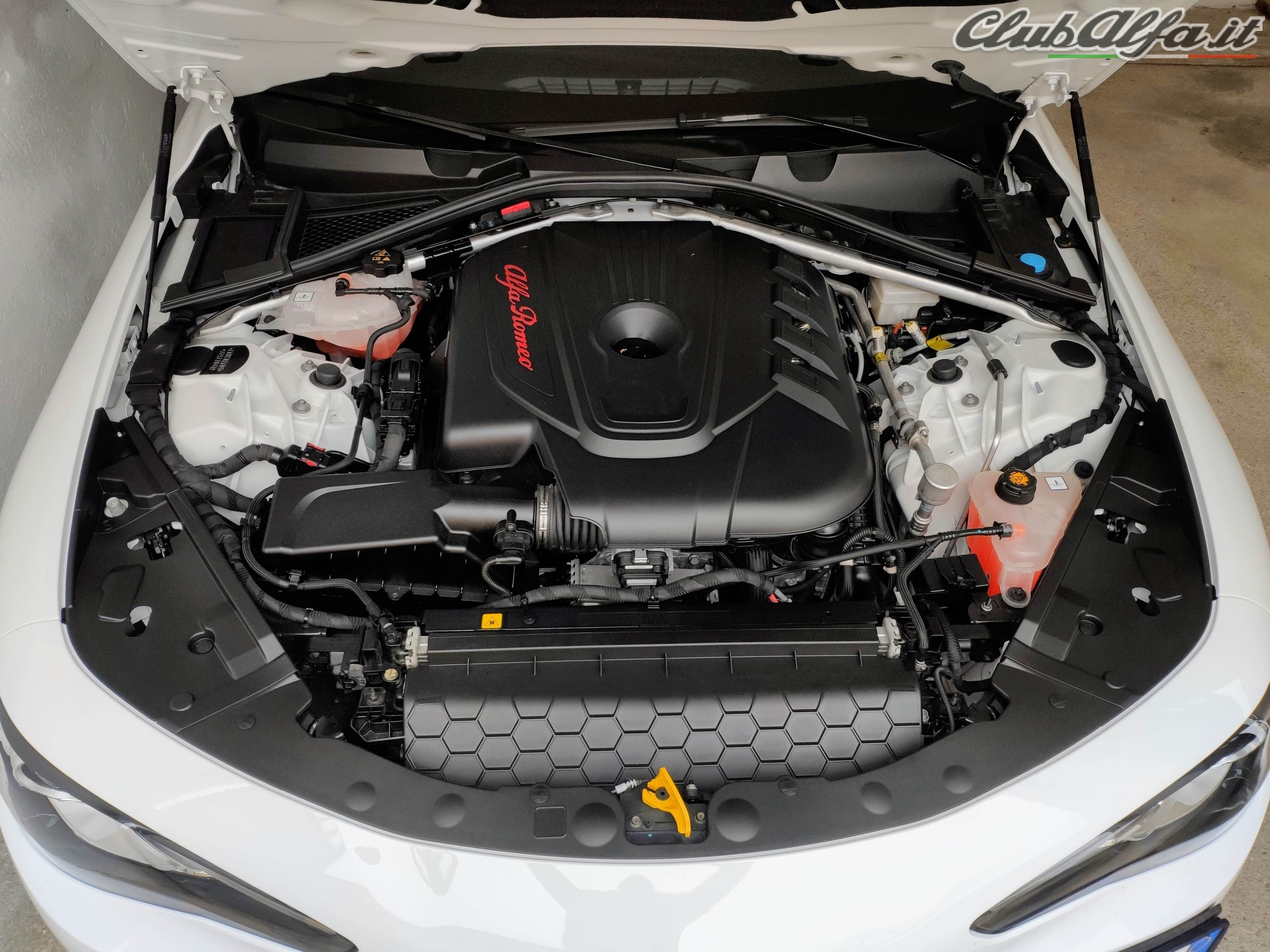 Giulia Veloce - Engine compartment.jpg