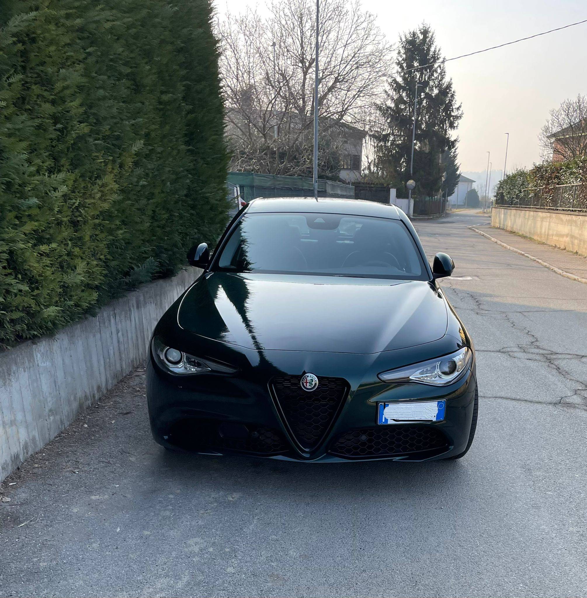GIULIA1.jpg