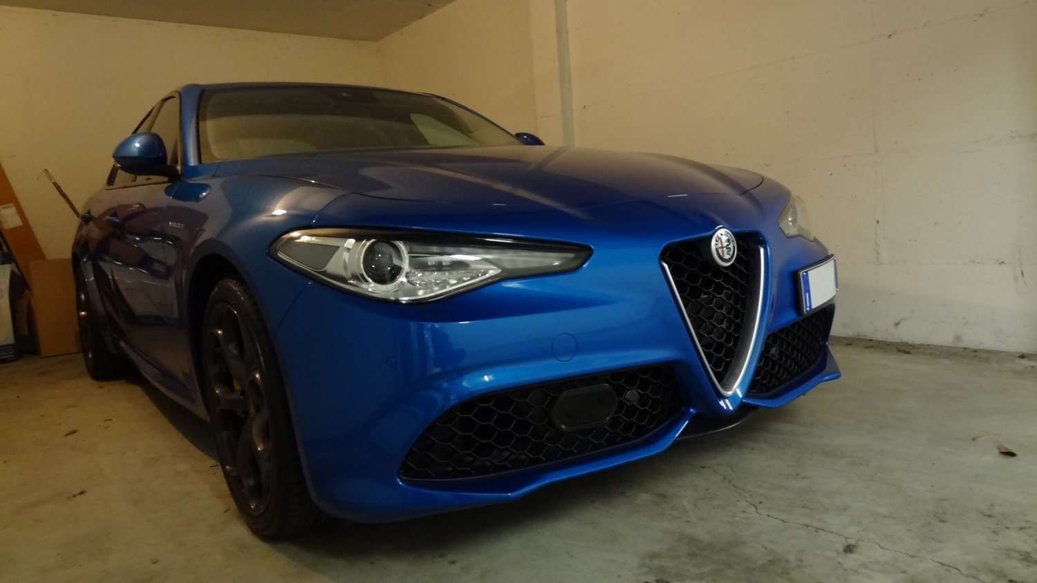 giulia2.jpg