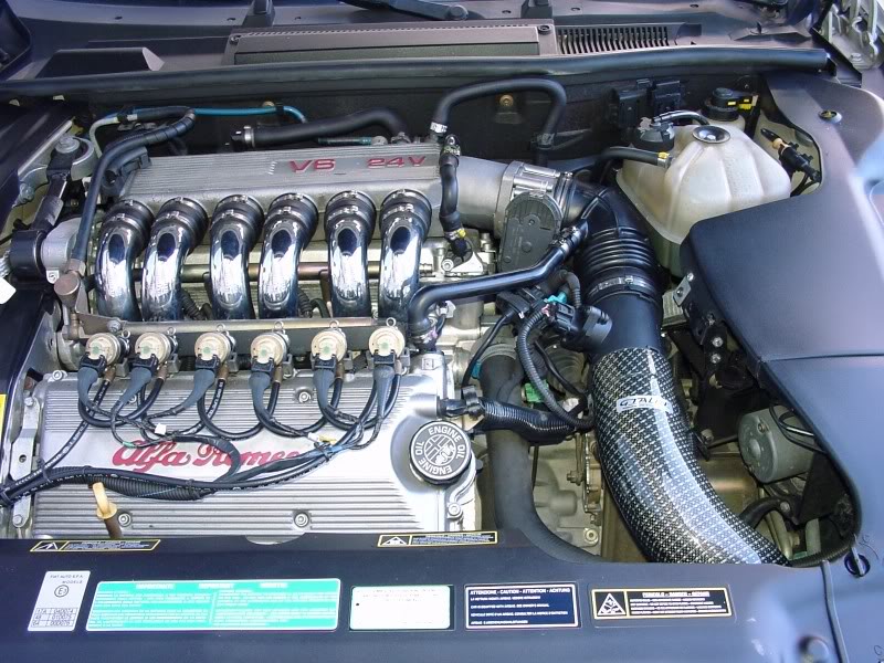 i115.photobucket.com_albums_n308_alfa121_140_128_20Tjeerd_DSC01a68ef195b88301c9c54a97480cba926.jpg