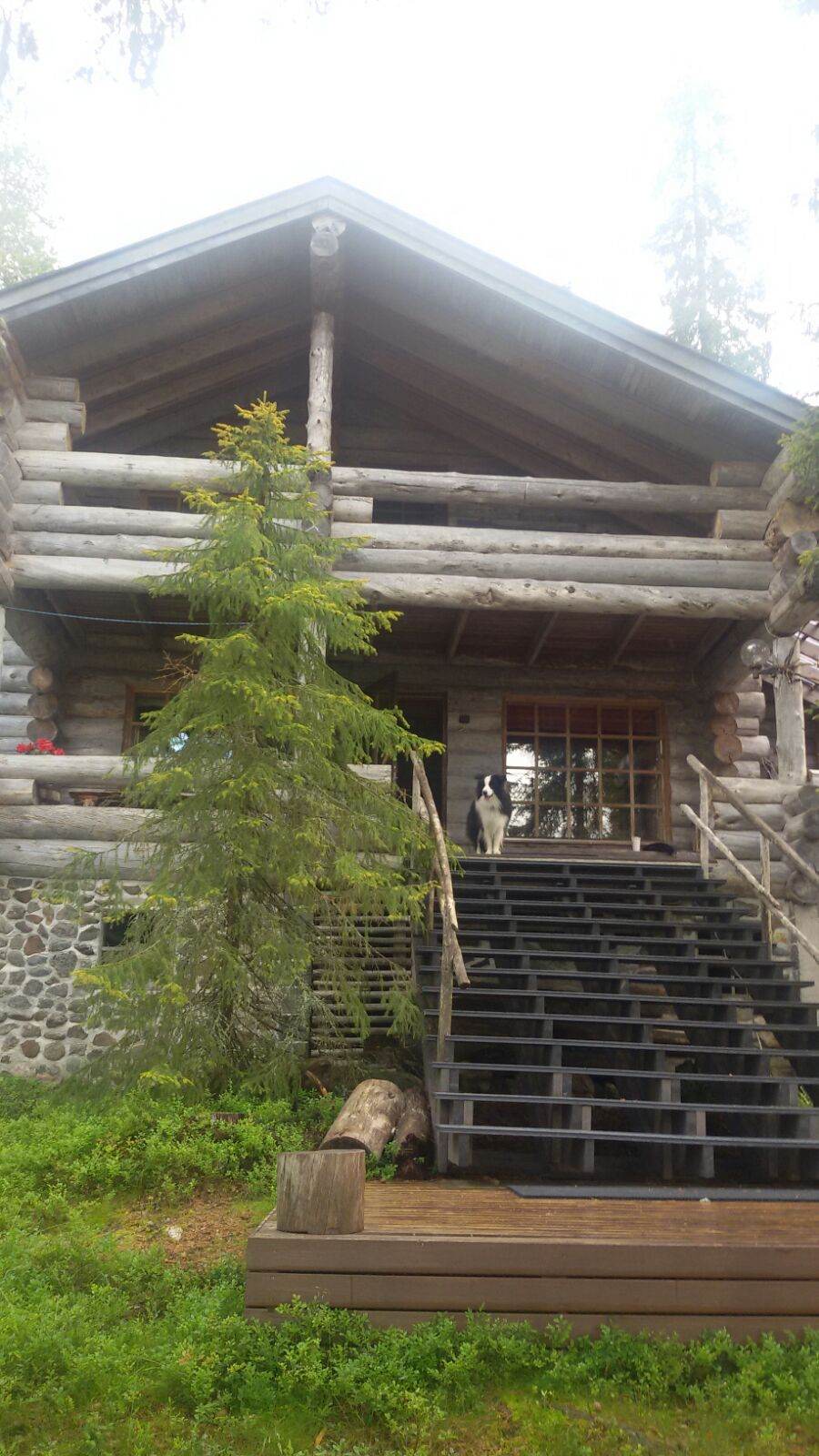 IMG-20170813-WA0003.jpg