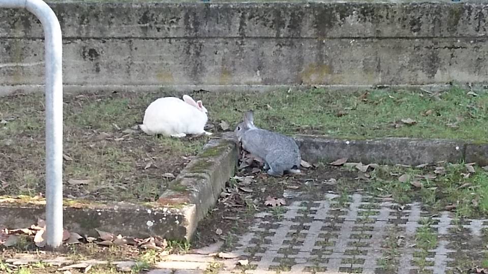 IMG-20180119-WA0008.jpeg