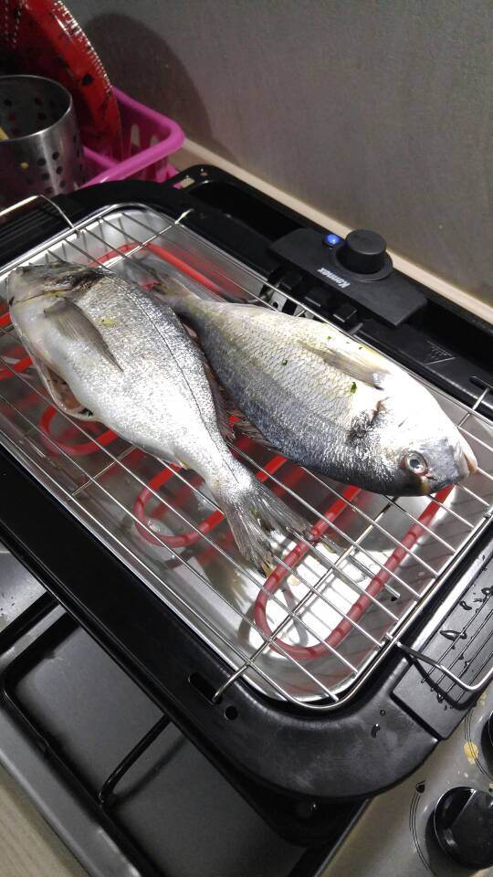 IMG-20180605-WA0017.jpeg