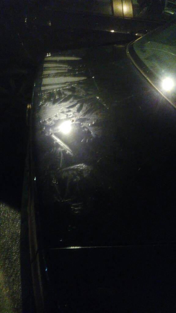 IMG-20181218-WA0012.jpeg