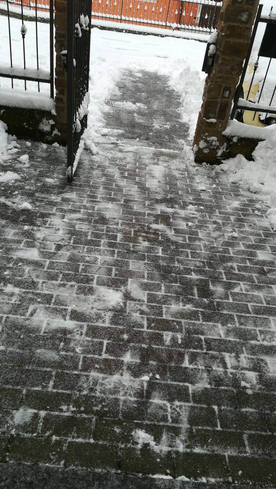 IMG-20190201-WA0009.jpeg