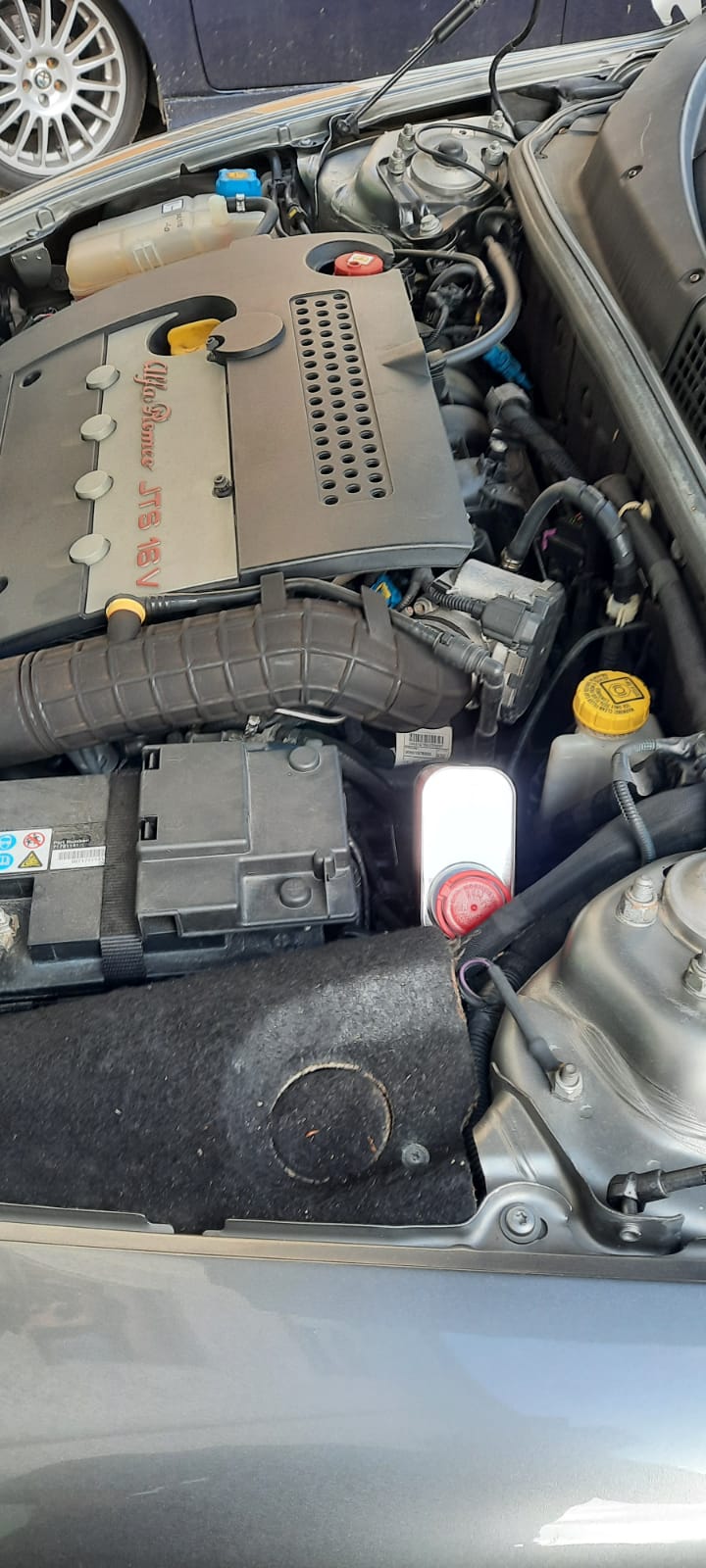 IMG-20210329-WA0009.jpg IMG-20210329-WA0009.jpg