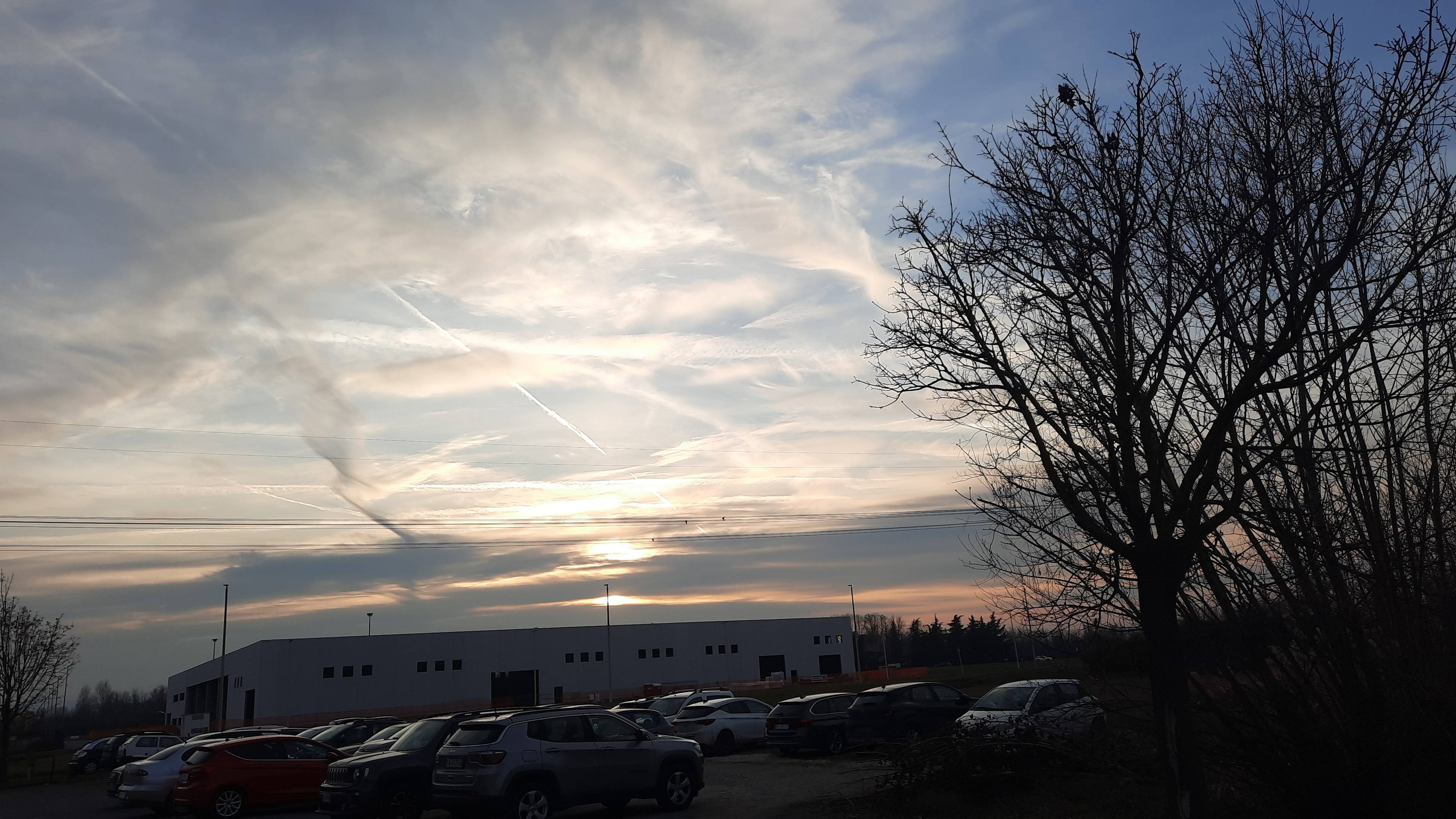 IMG-20220203-WA0013.jpeg