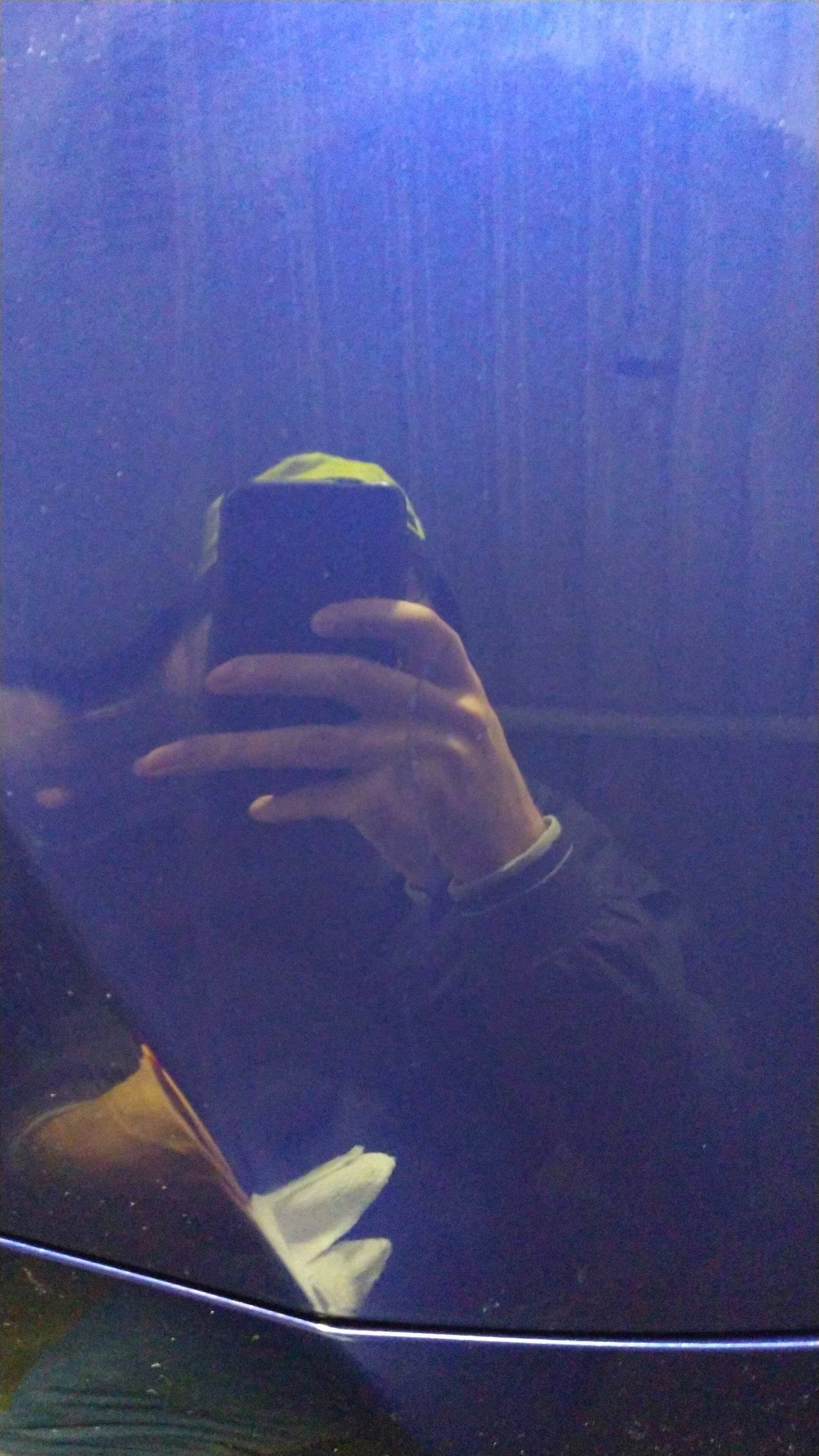 IMG-20221125-WA0001.jpeg