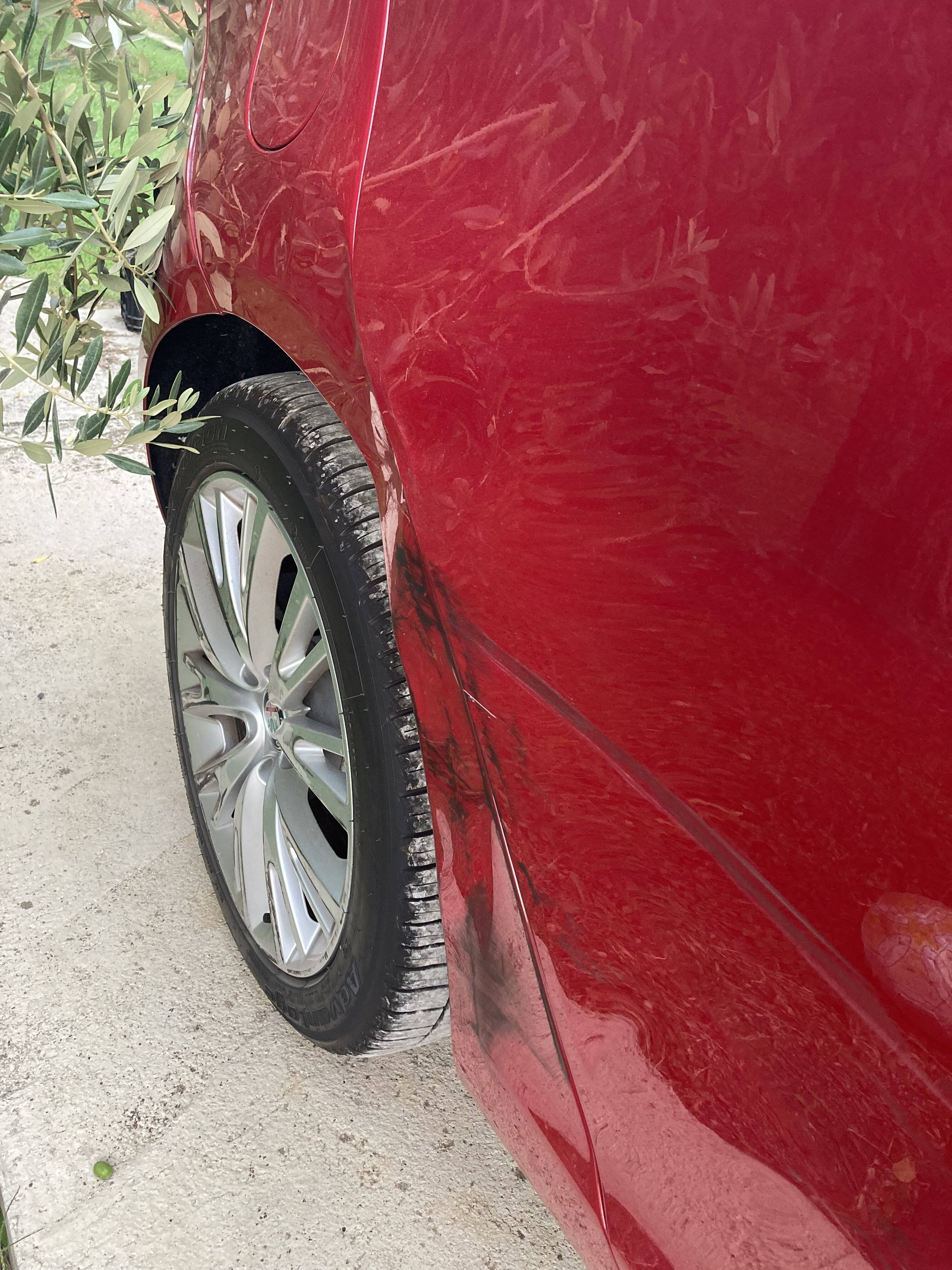 IMG-6502.jpg IMG-6502.jpg