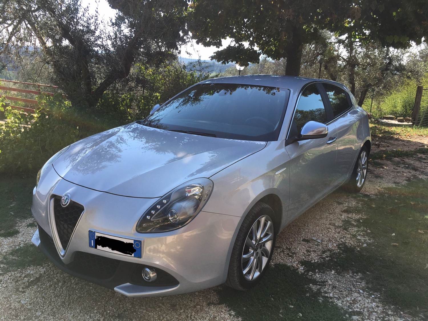 IMG_1333.JPG IMG_1333.JPG