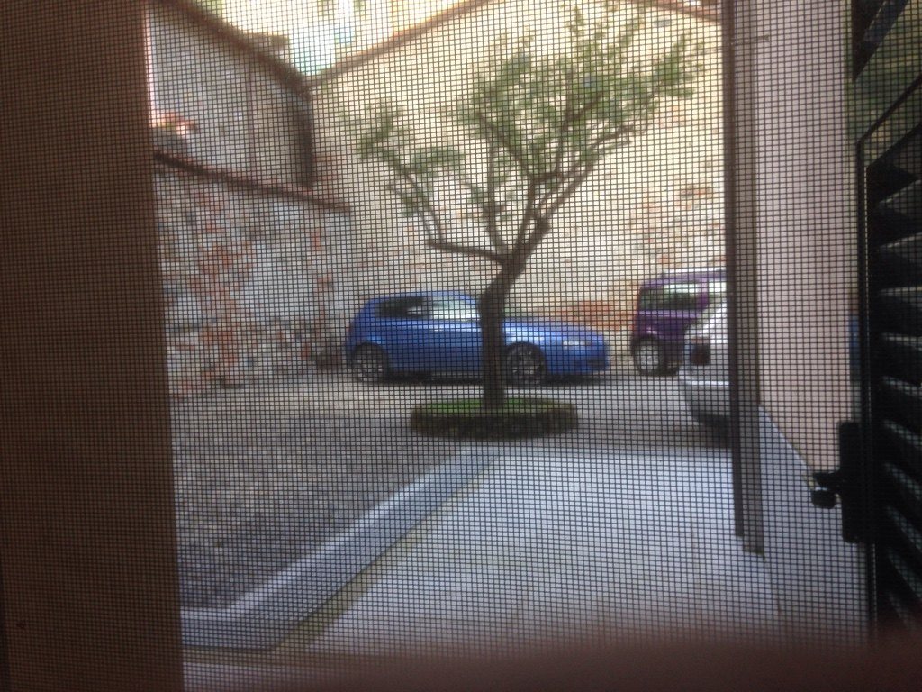 IMG_1479038227.387917.jpg