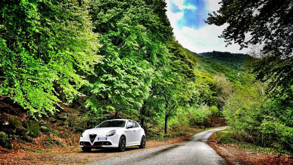 IMG_20180428_164857-01_20180514094944934.jpg IMG_20180428_164857-01_20180514094944934.jpg