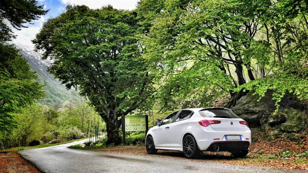 IMG_20180428_165057-01_20180514094932396.jpg IMG_20180428_165057-01_20180514094932396.jpg