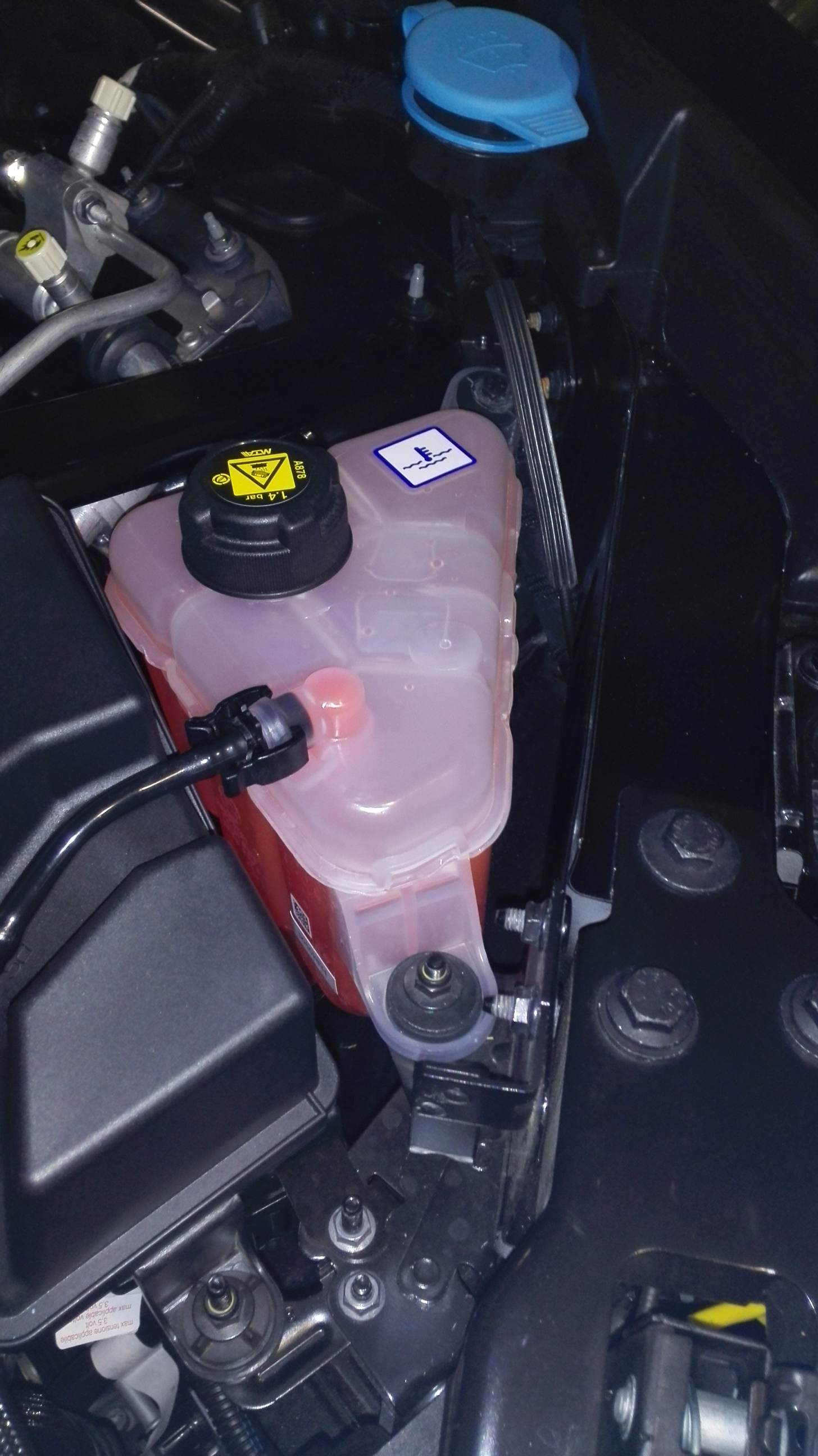 IMG_20180926_062607.jpg IMG_20180926_062607.jpg