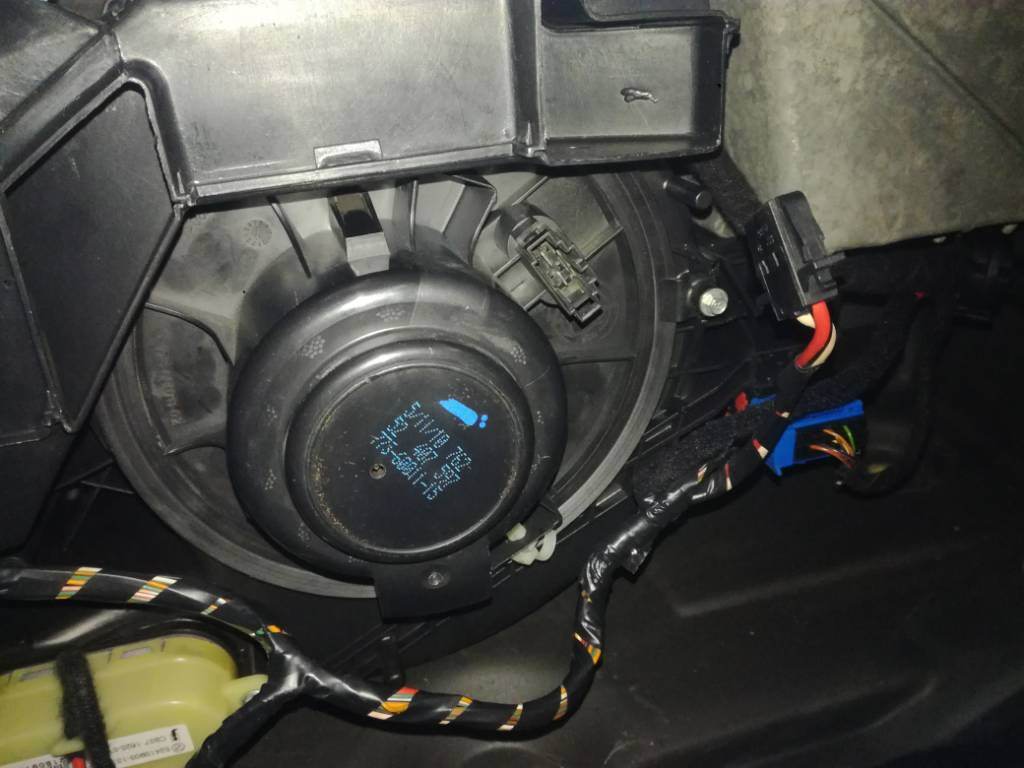 IMG_20190203_134900.jpeg IMG_20190203_134900.jpeg