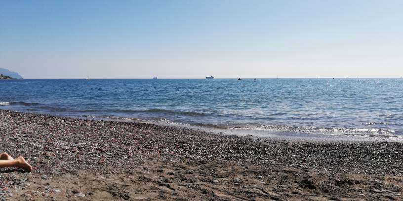 IMG_20190324_130338.jpeg