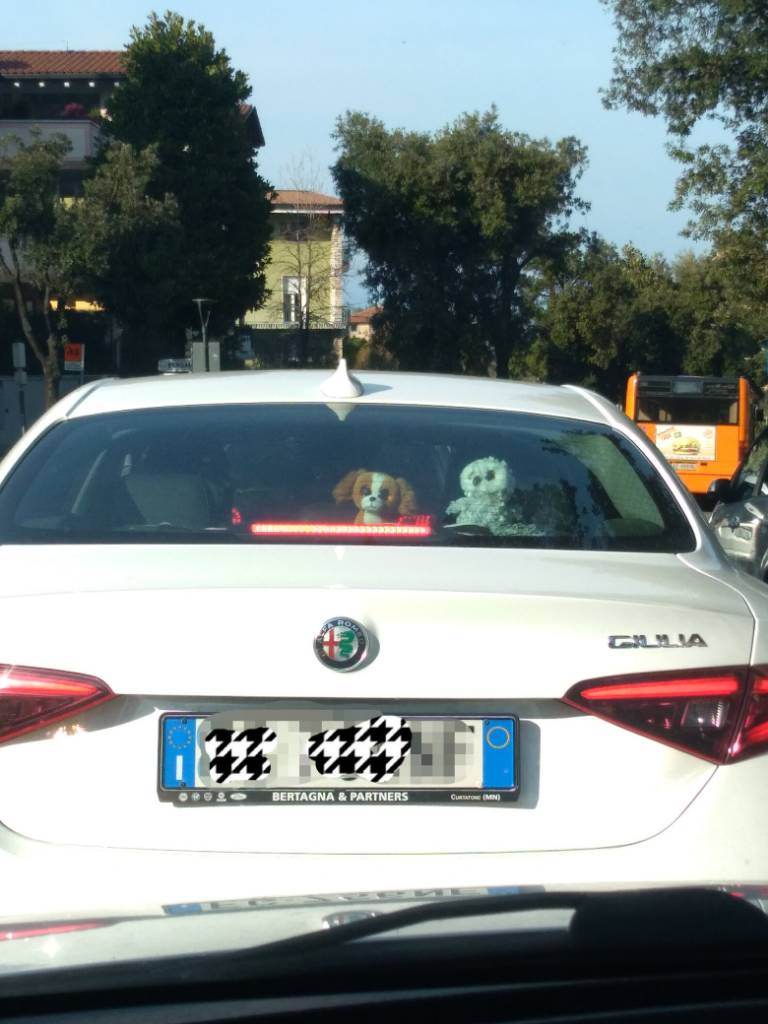 IMG_20190506_205840.jpeg