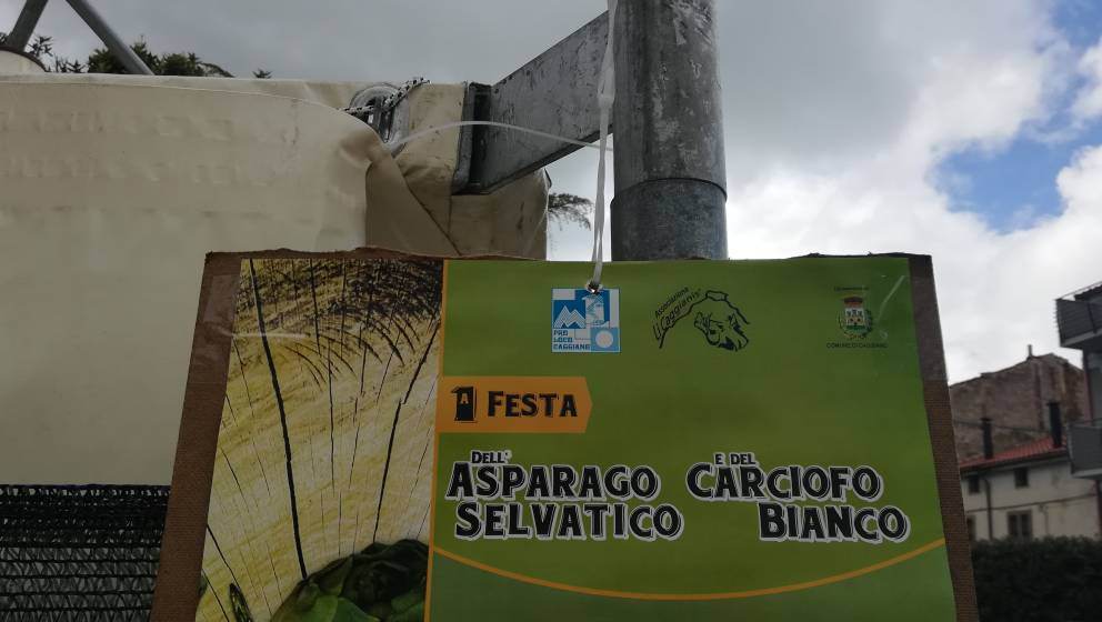 IMG_20190519_135142.jpeg