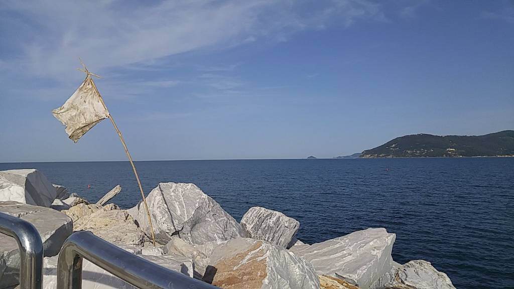 IMG_20190614_082948_686.jpg
