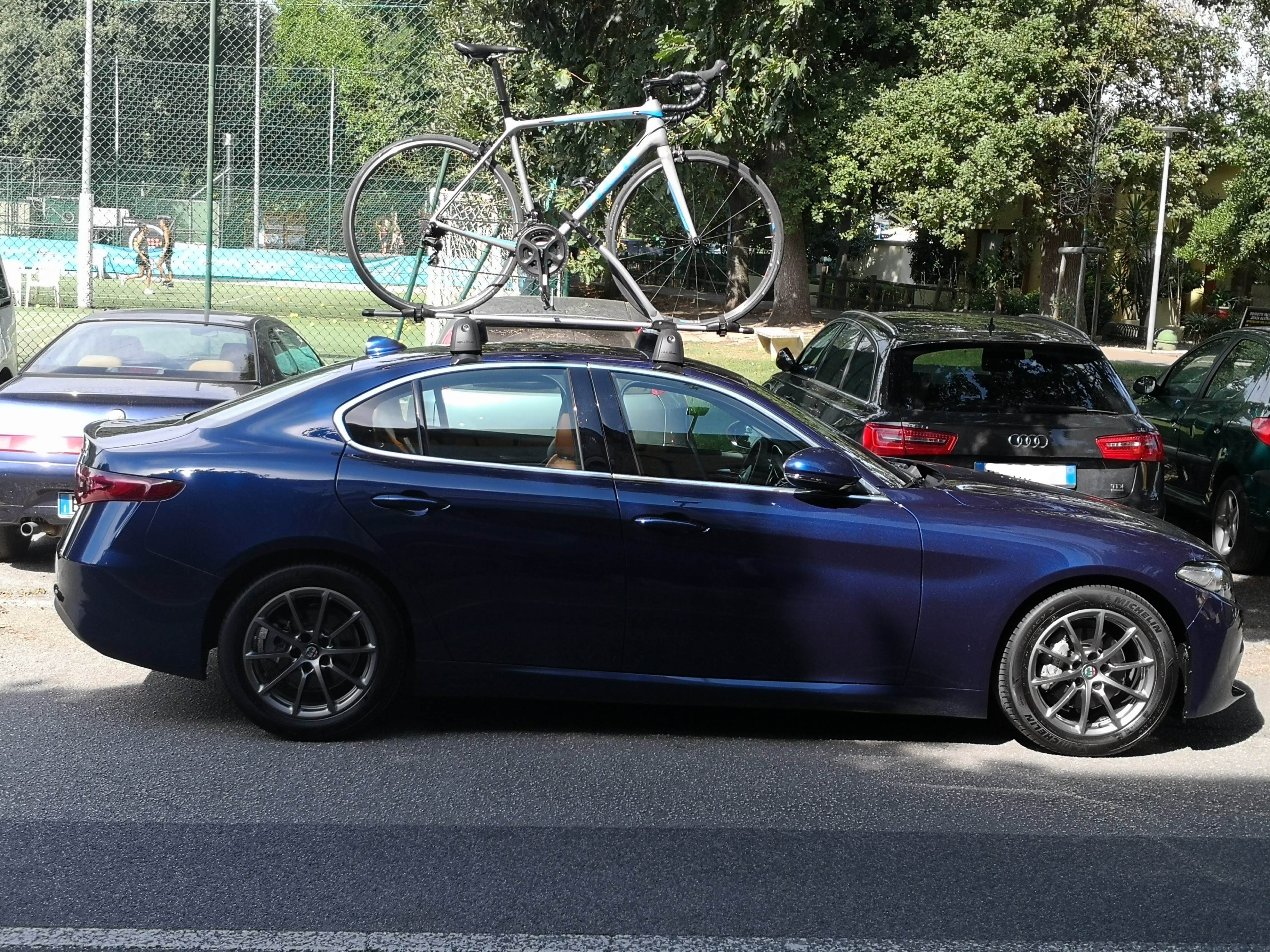 IMG_20190817_104115_amd.jpg IMG_20190817_104115_amd.jpg