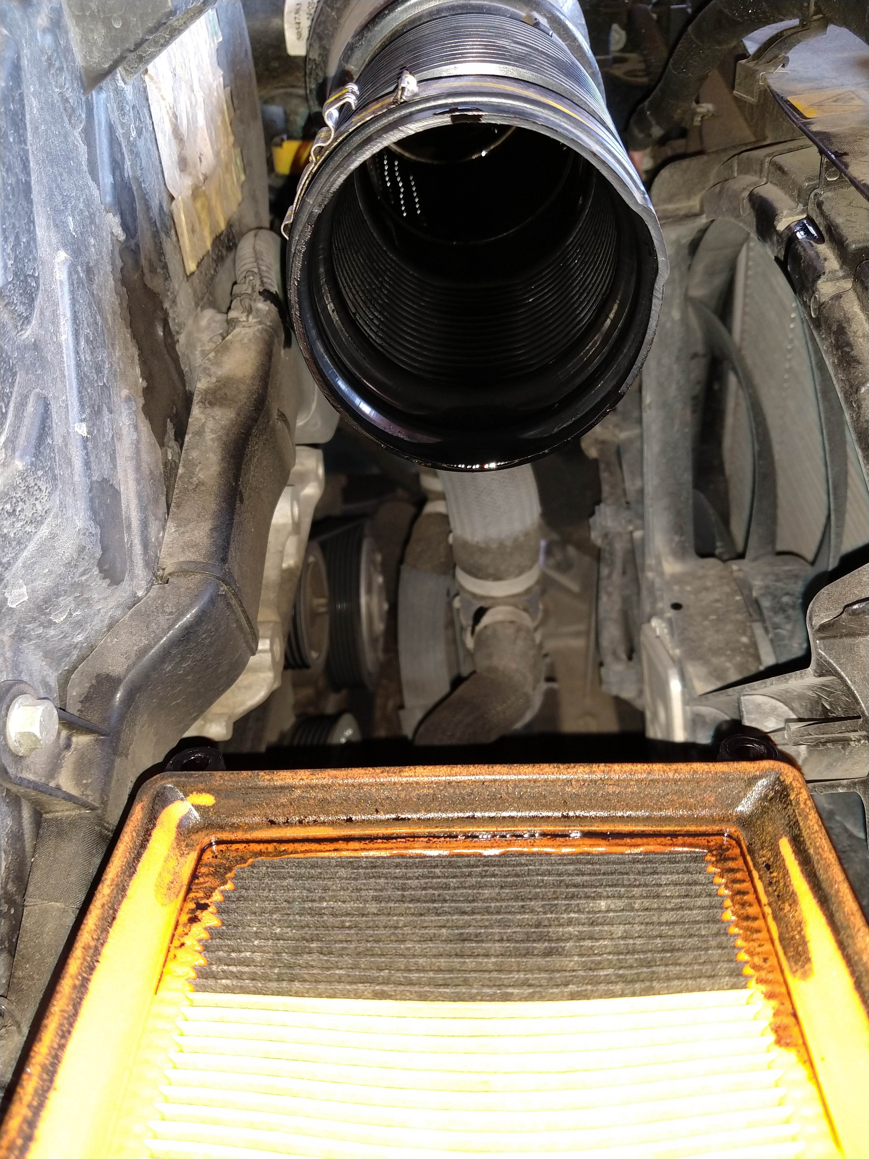 IMG_20190820_164137733.jpg IMG_20190820_164137733.jpg