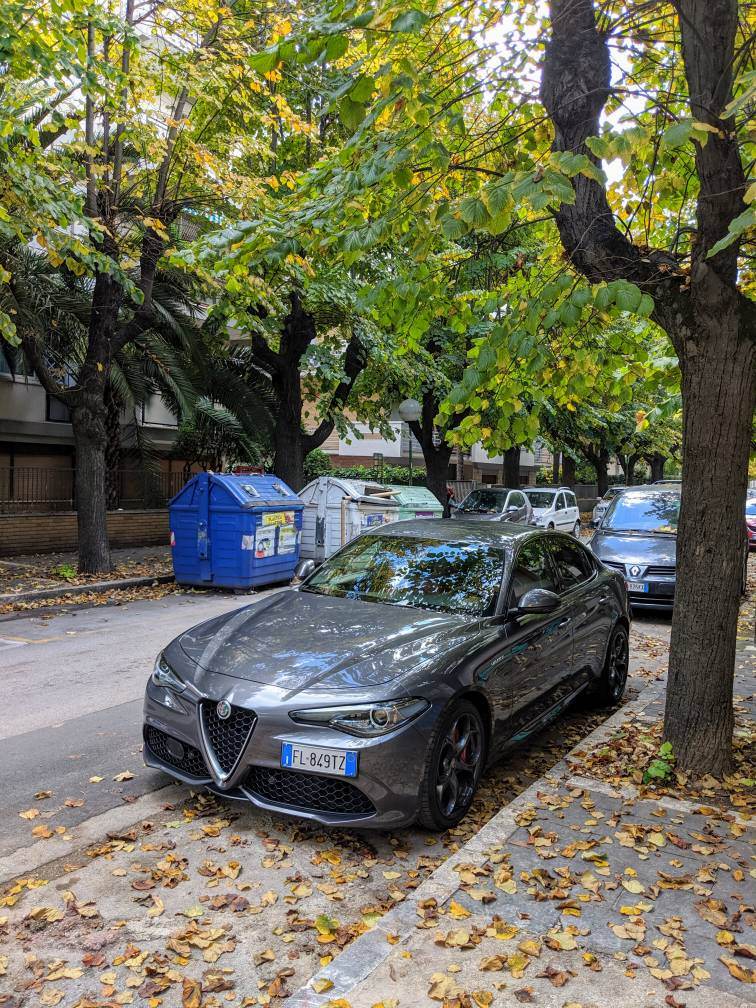 IMG_20191103_101318.jpeg