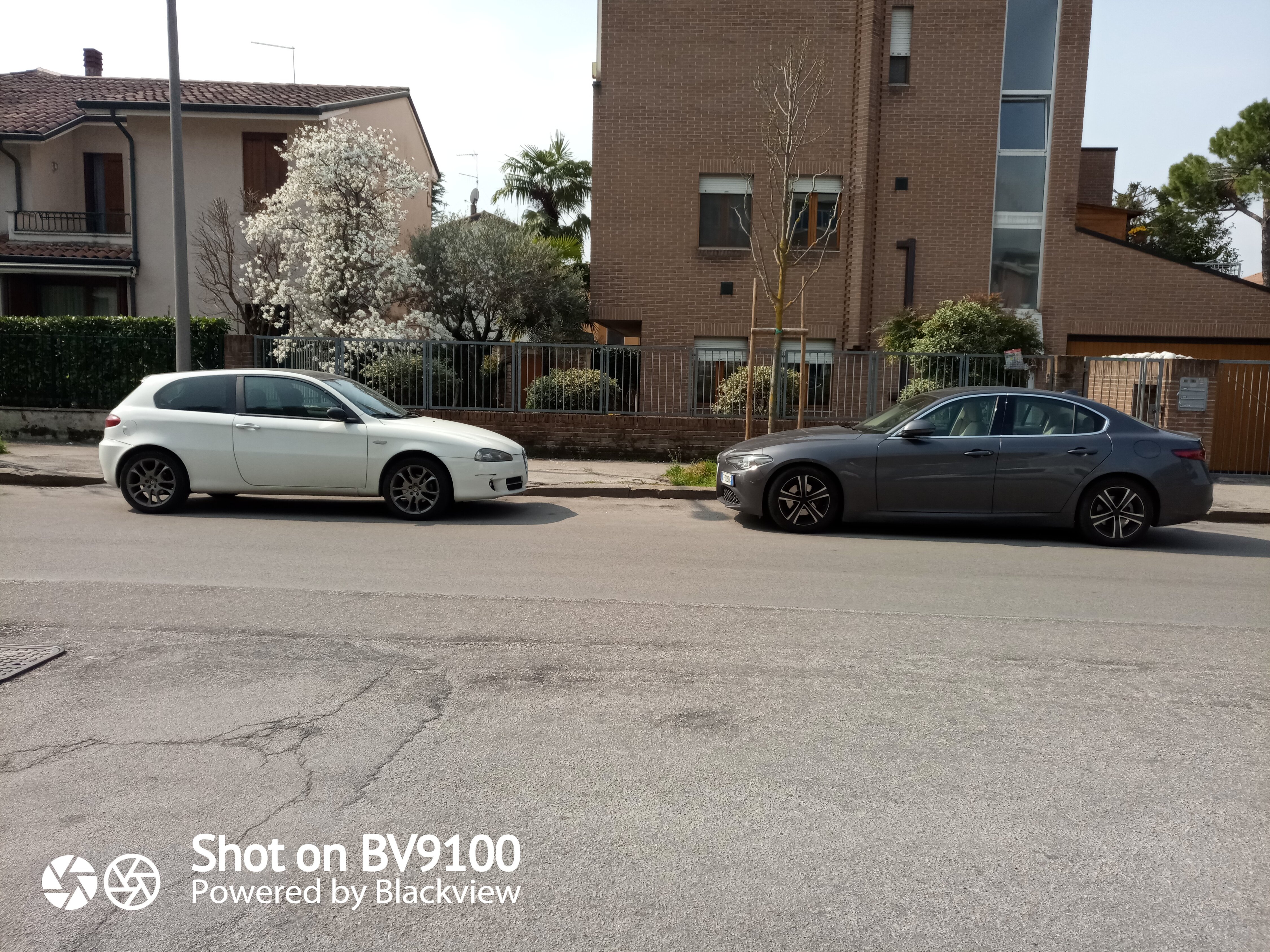 IMG_20210327_114804_8.jpg