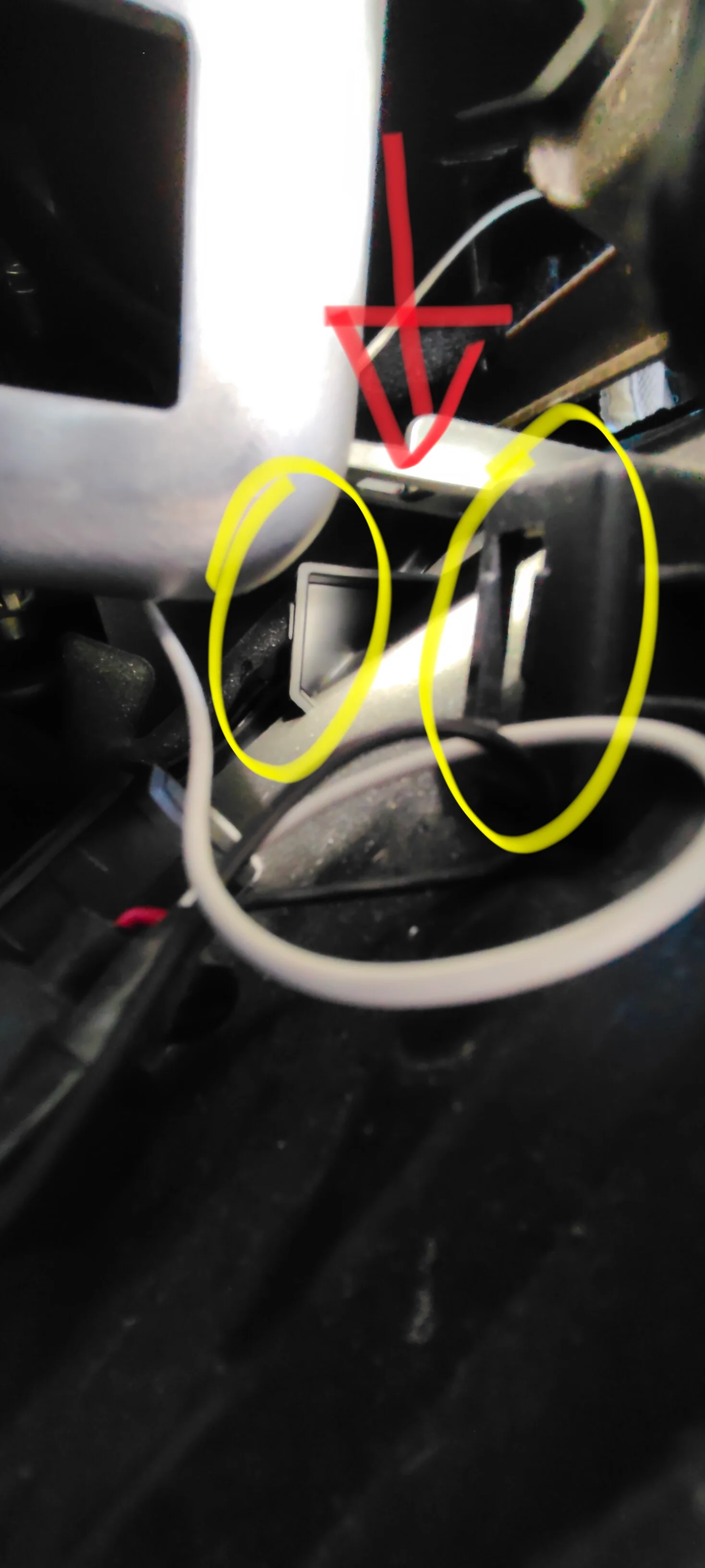 IMG_20250902_201051.webp