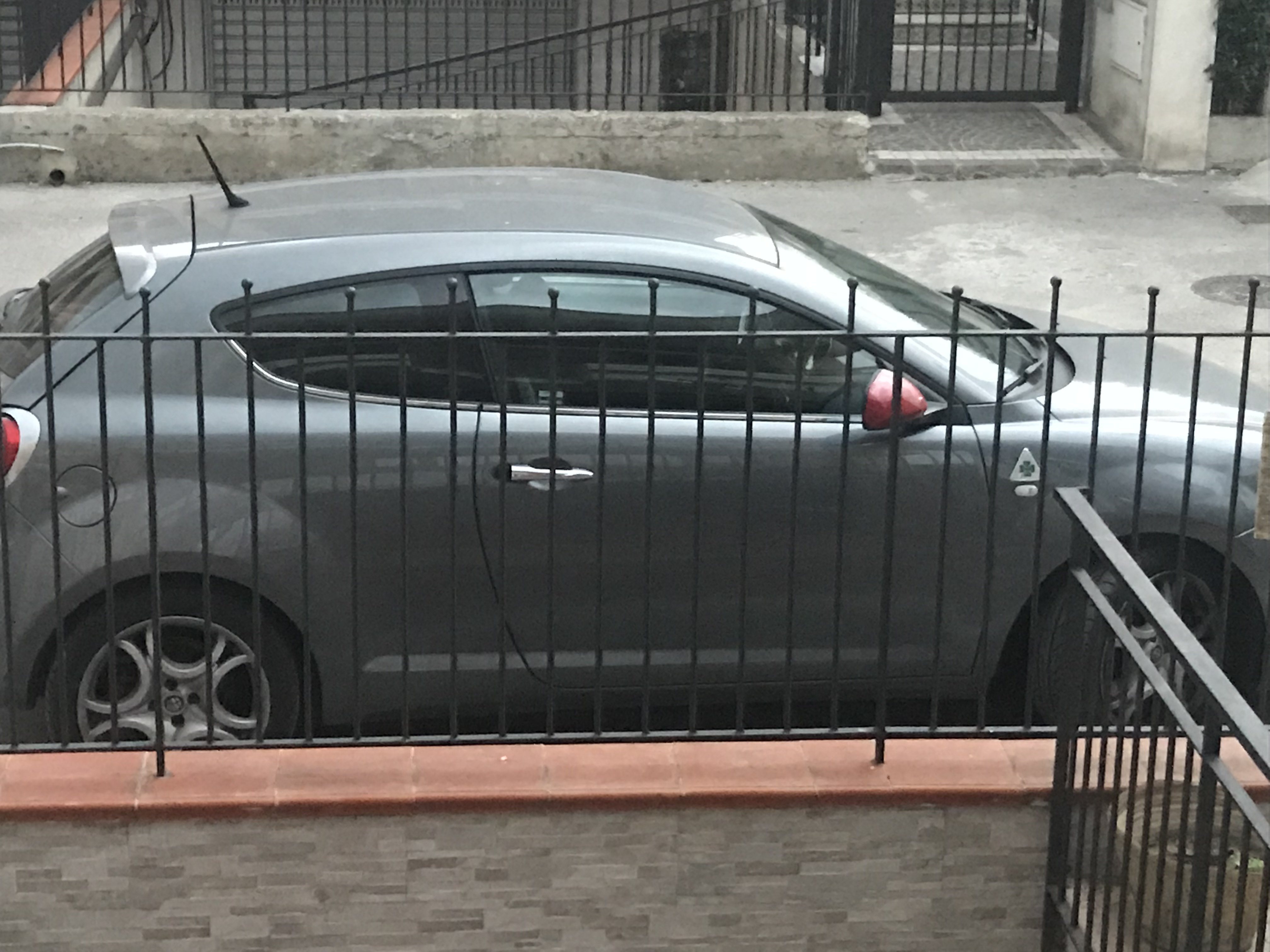IMG_2826.jpg