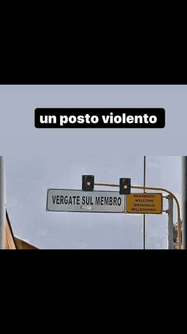 IMG_4882.PNG