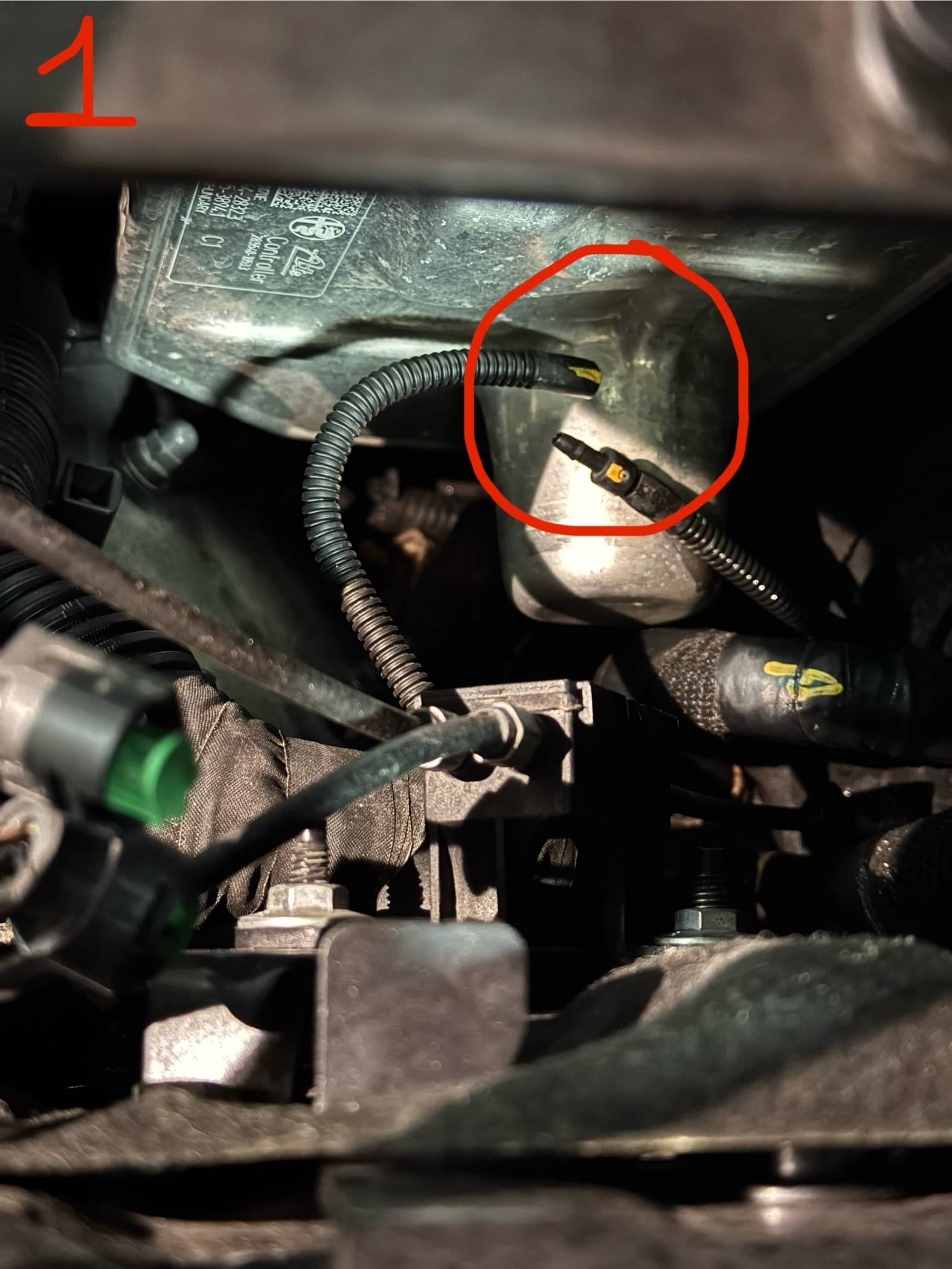 IMG_5890.jpeg IMG_5890.jpeg