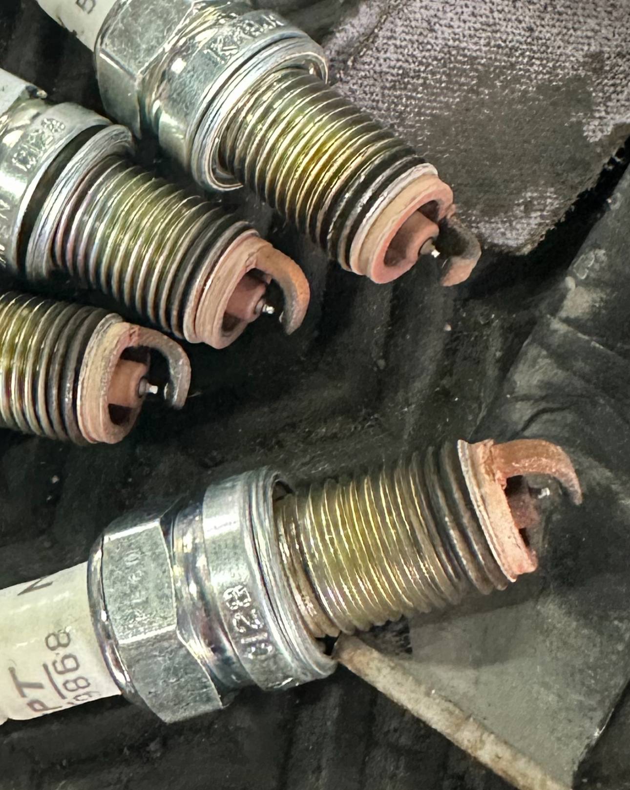 IMG_6338.jpeg IMG_6338.jpeg