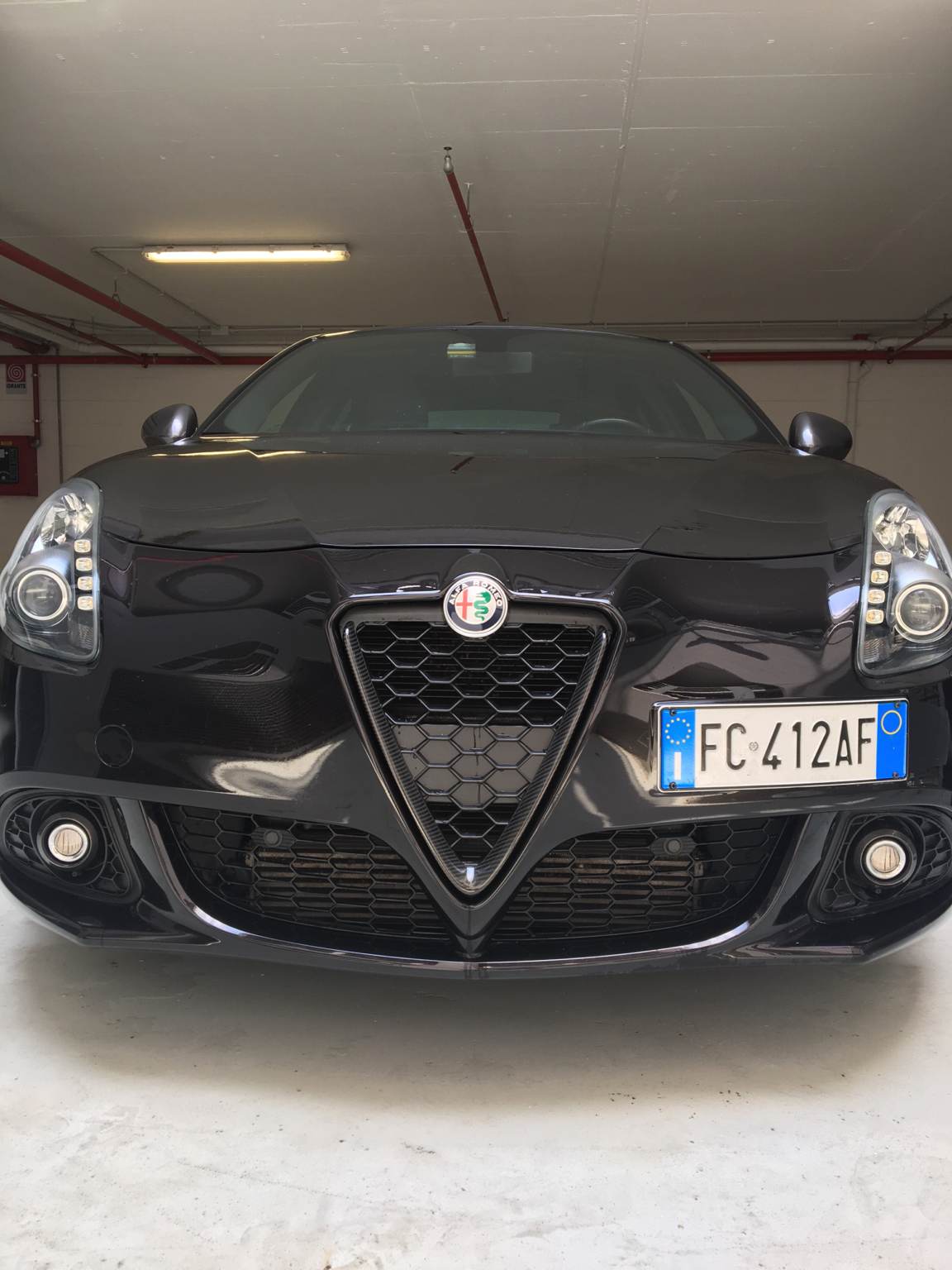 IMG_6729.JPG IMG_6729.JPG