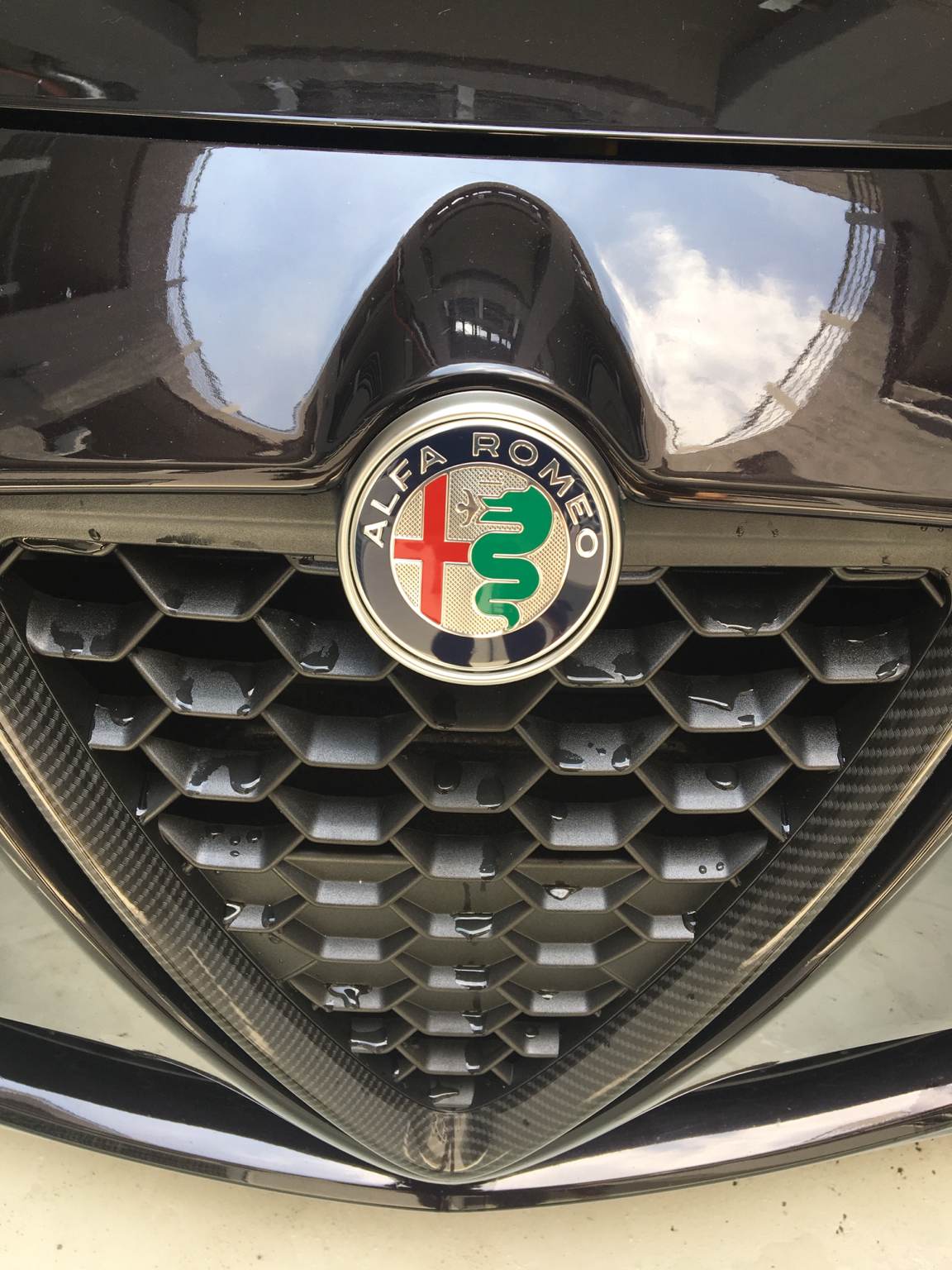 IMG_6730.JPG IMG_6730.JPG