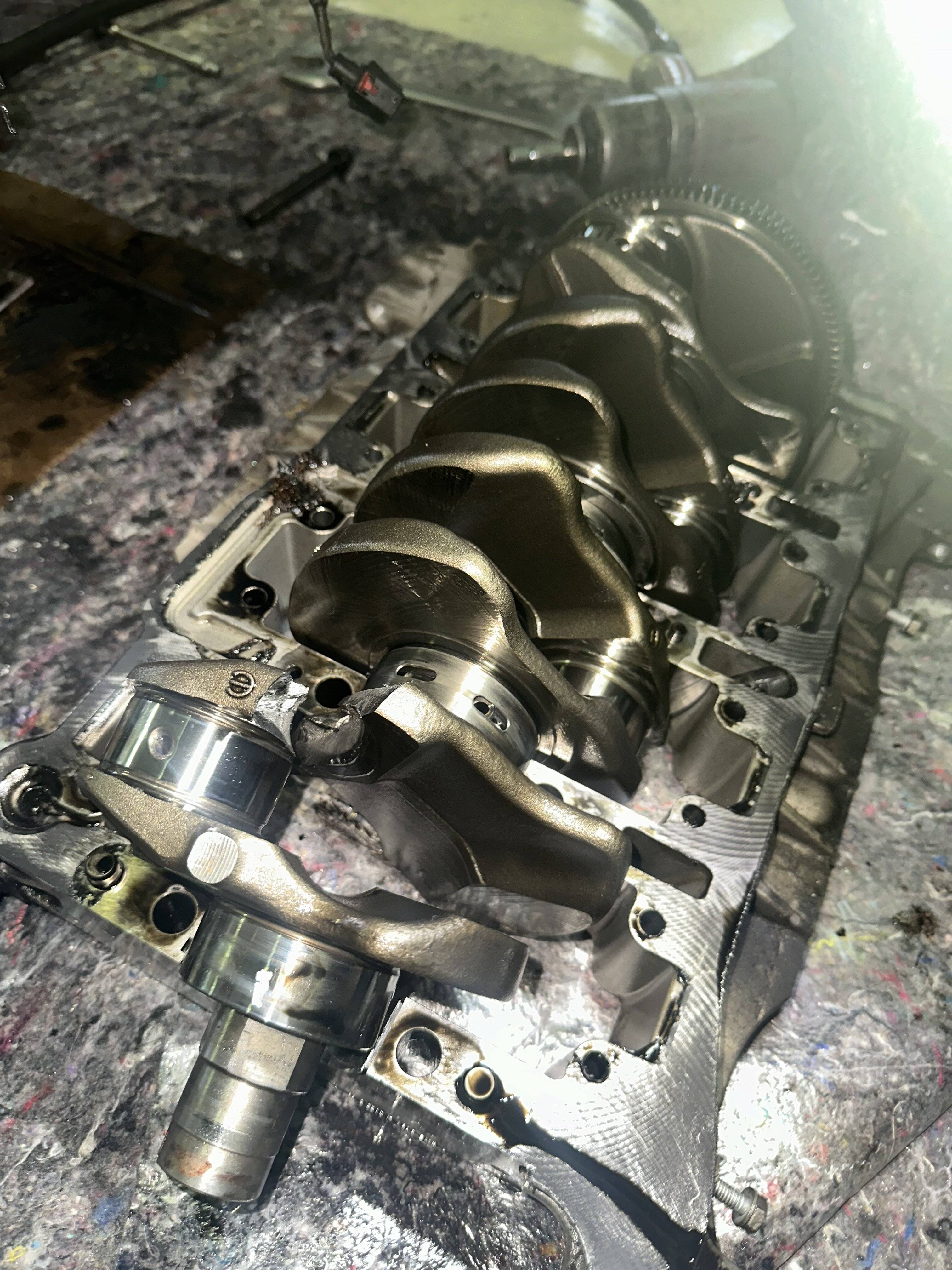 IMG_7333.jpeg