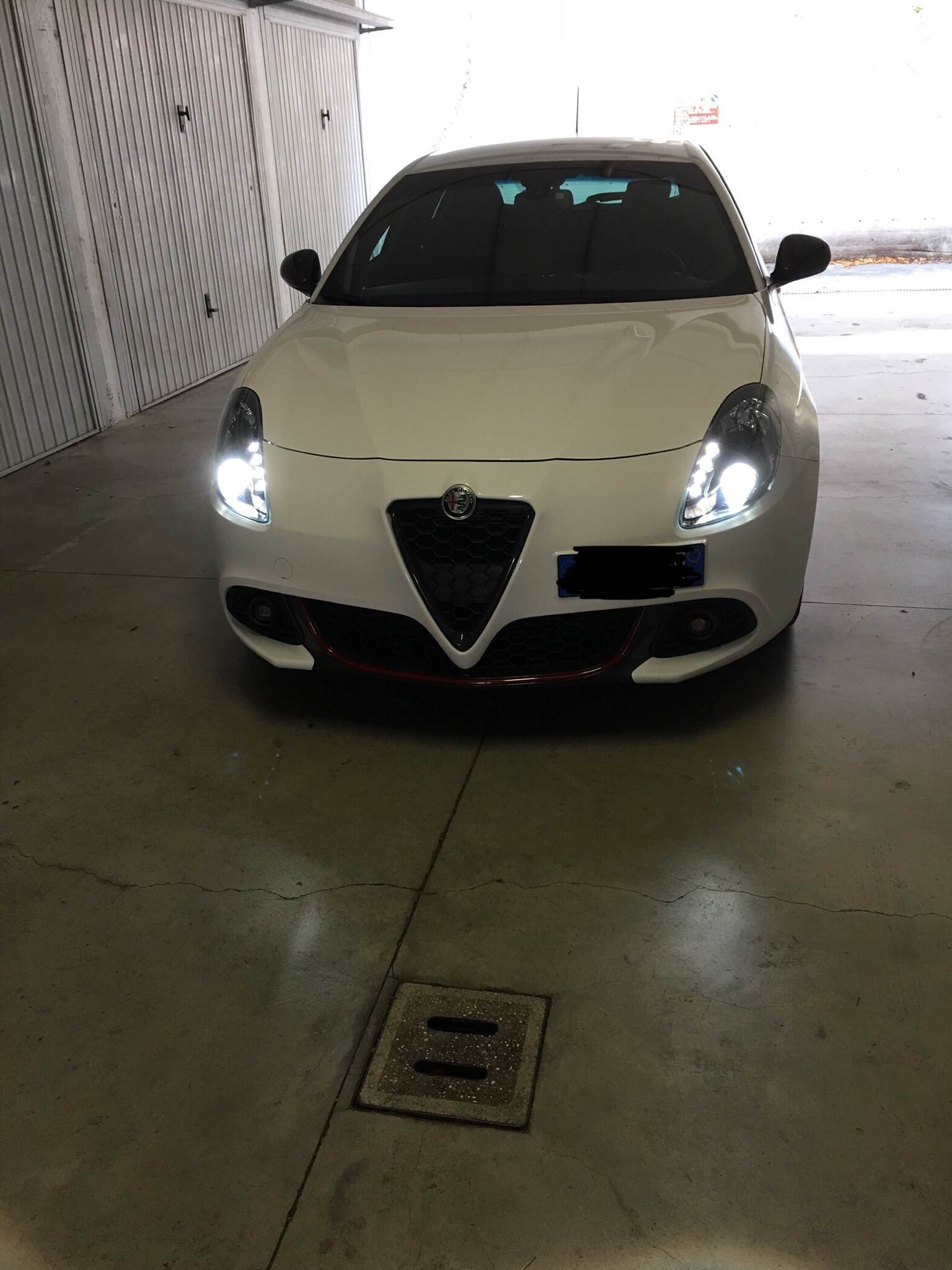 IMG_7616.JPG IMG_7616.JPG