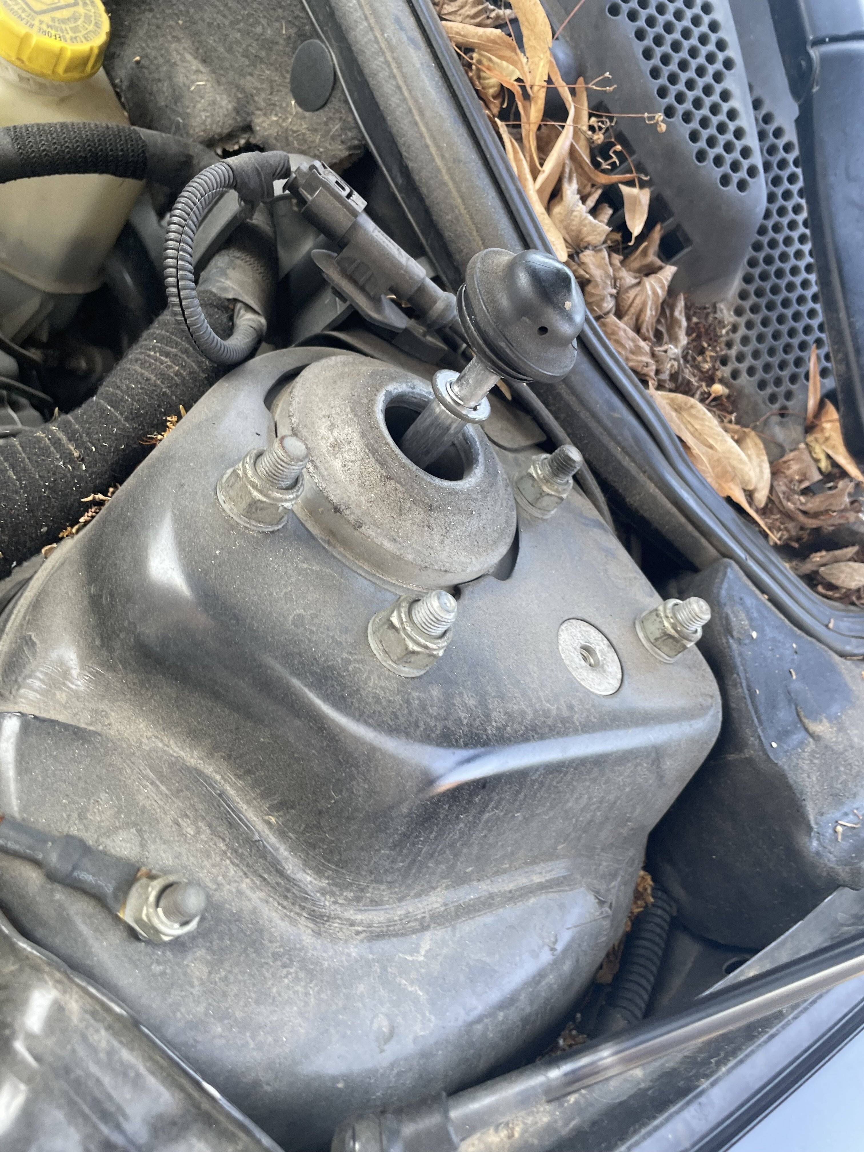 IMG_8172.jpeg IMG_8172.jpeg