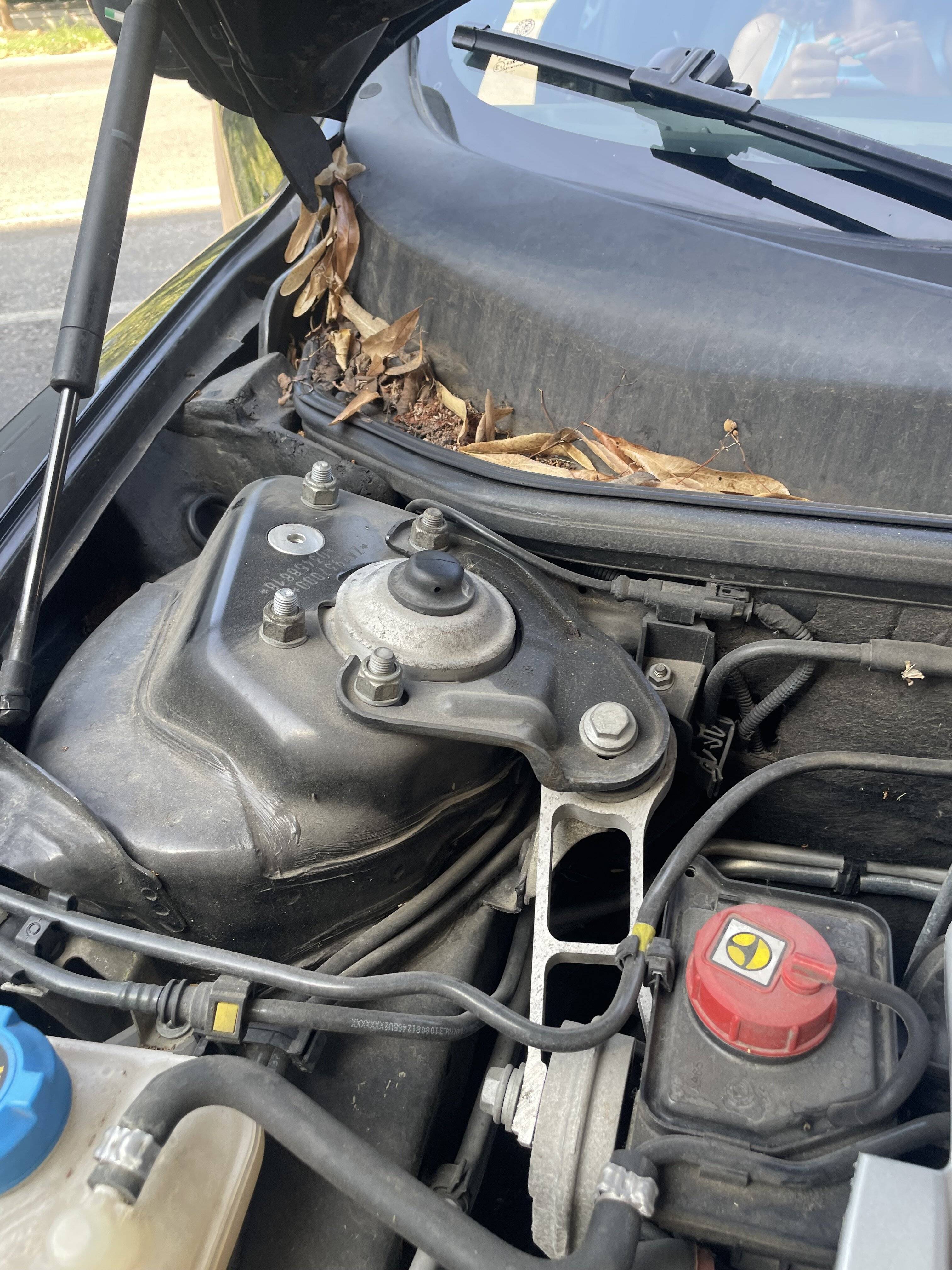 IMG_8173.jpeg IMG_8173.jpeg