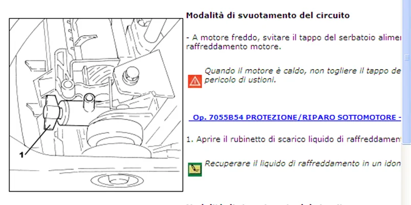 Immagine1.webp