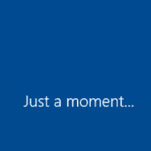 just-a-moment-loading.gif