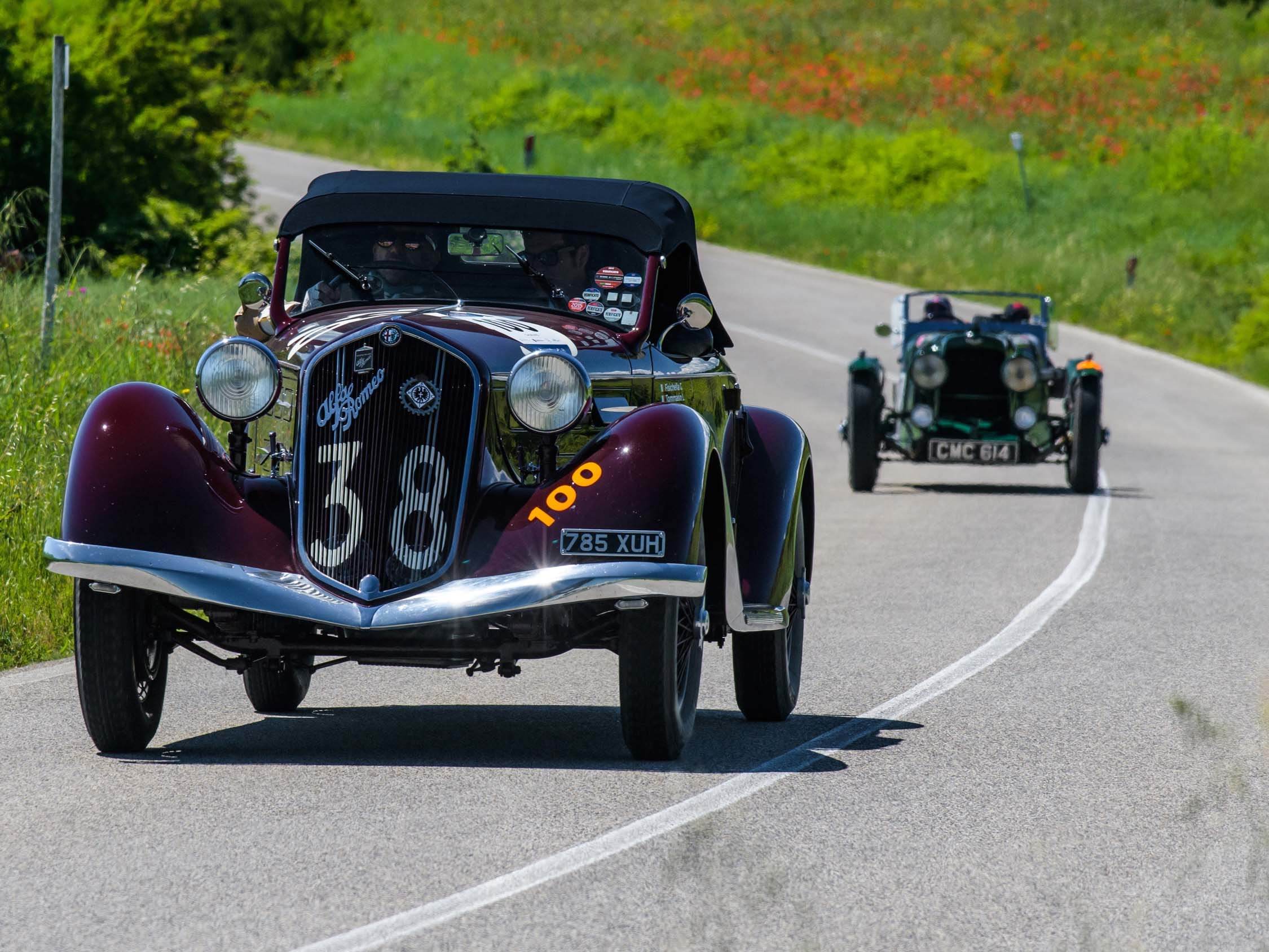 large.DSC_2445.jpg.b80c760d323a1f587cdd730a3caf7c56[1].jpg