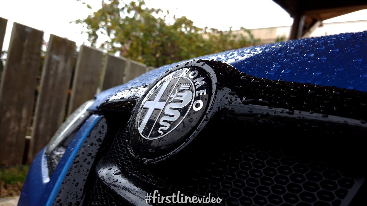 Logo alfa black.jpg