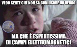 MEME_09-300x184.jpg