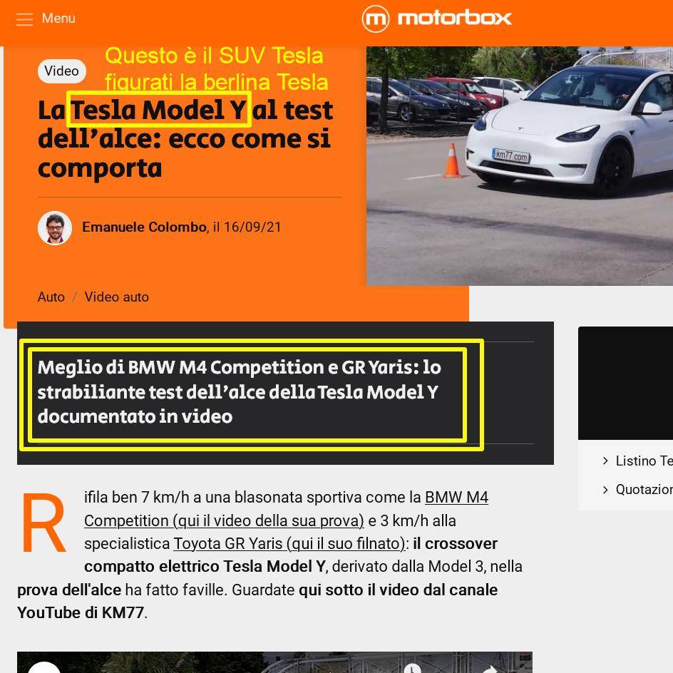 Model Y.JPG